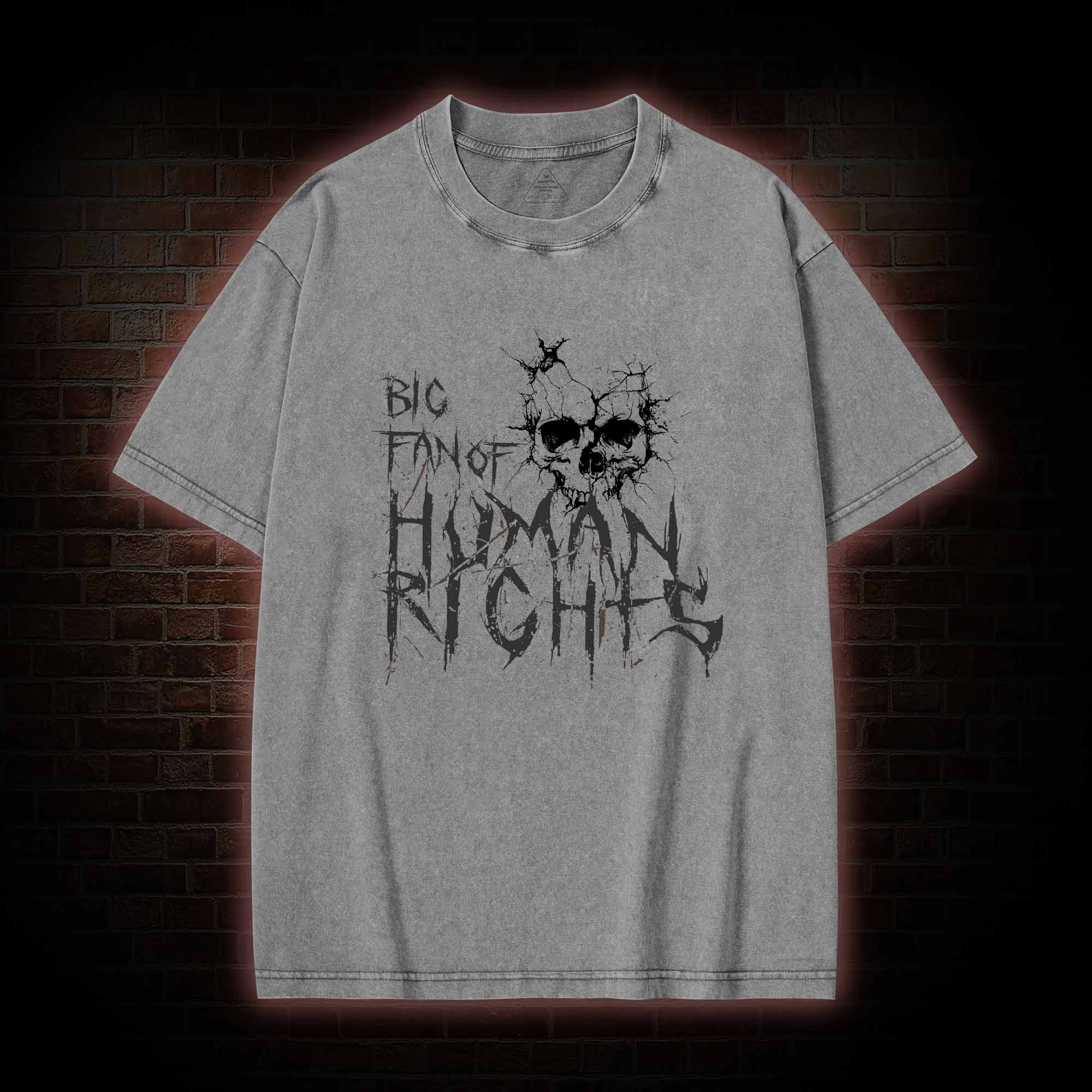 Big Fan of Human Rights Washed T-shirt