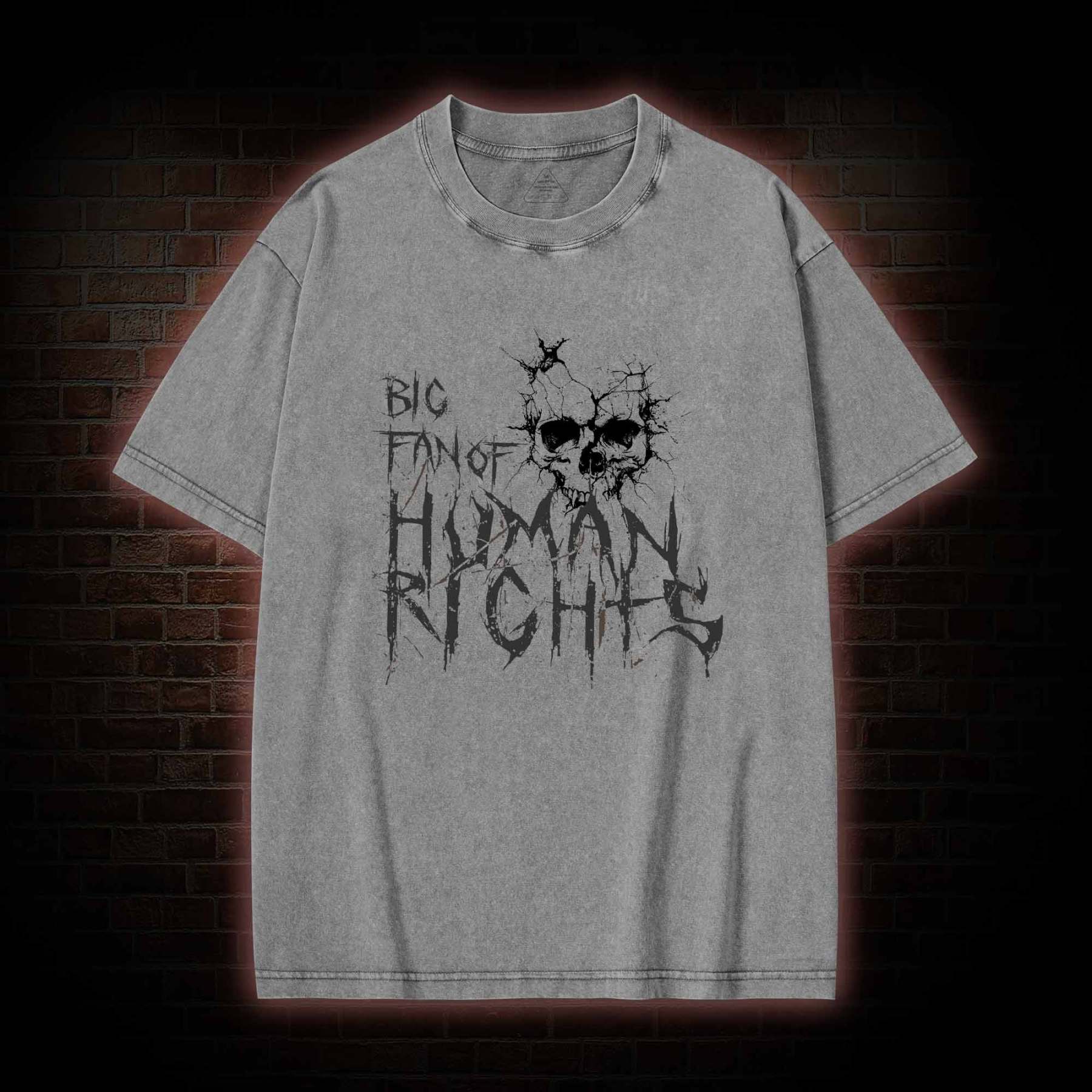 Big Fan of Human Rights Washed T-shirt