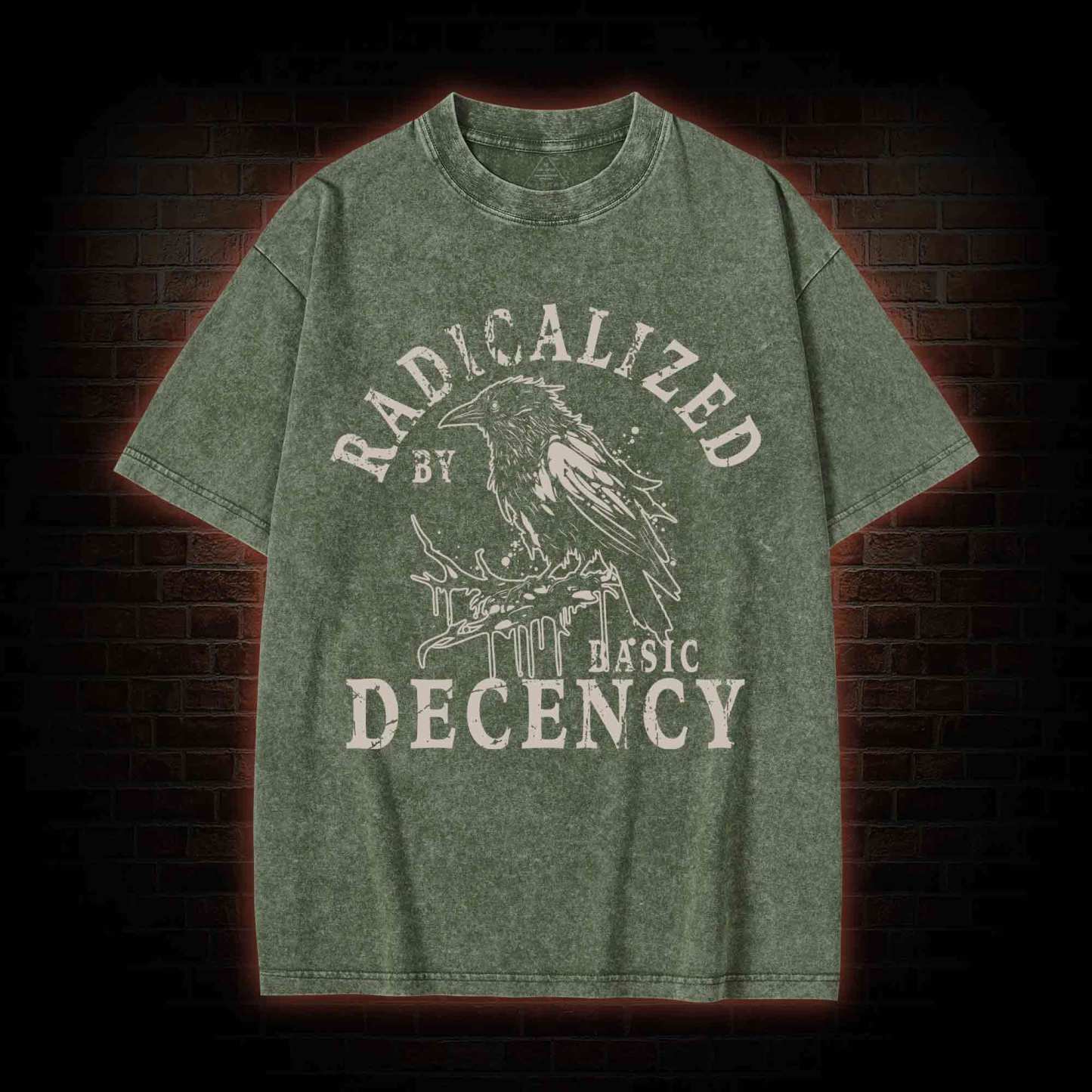 Radicalized by Basic Decency Crow Washed T-shirt