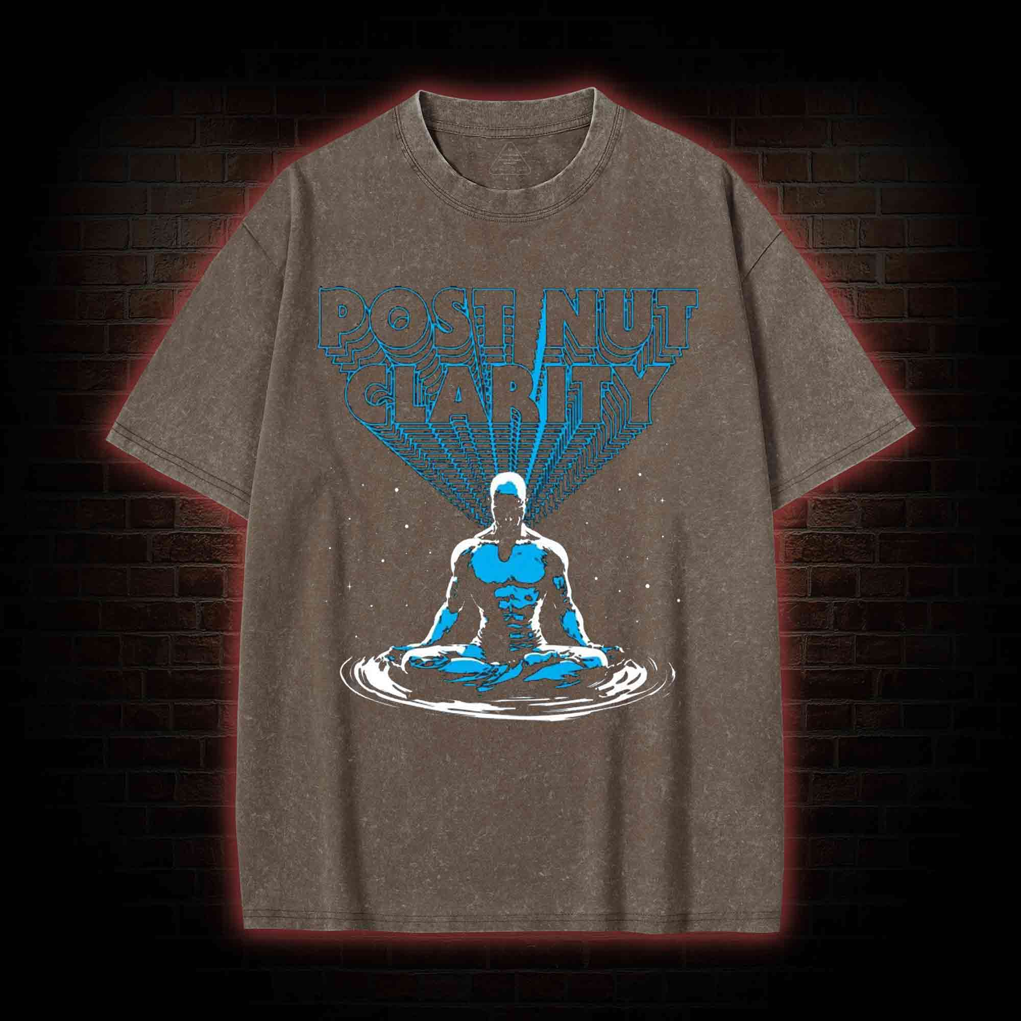 Post Nut Clarity Washed T-shirt