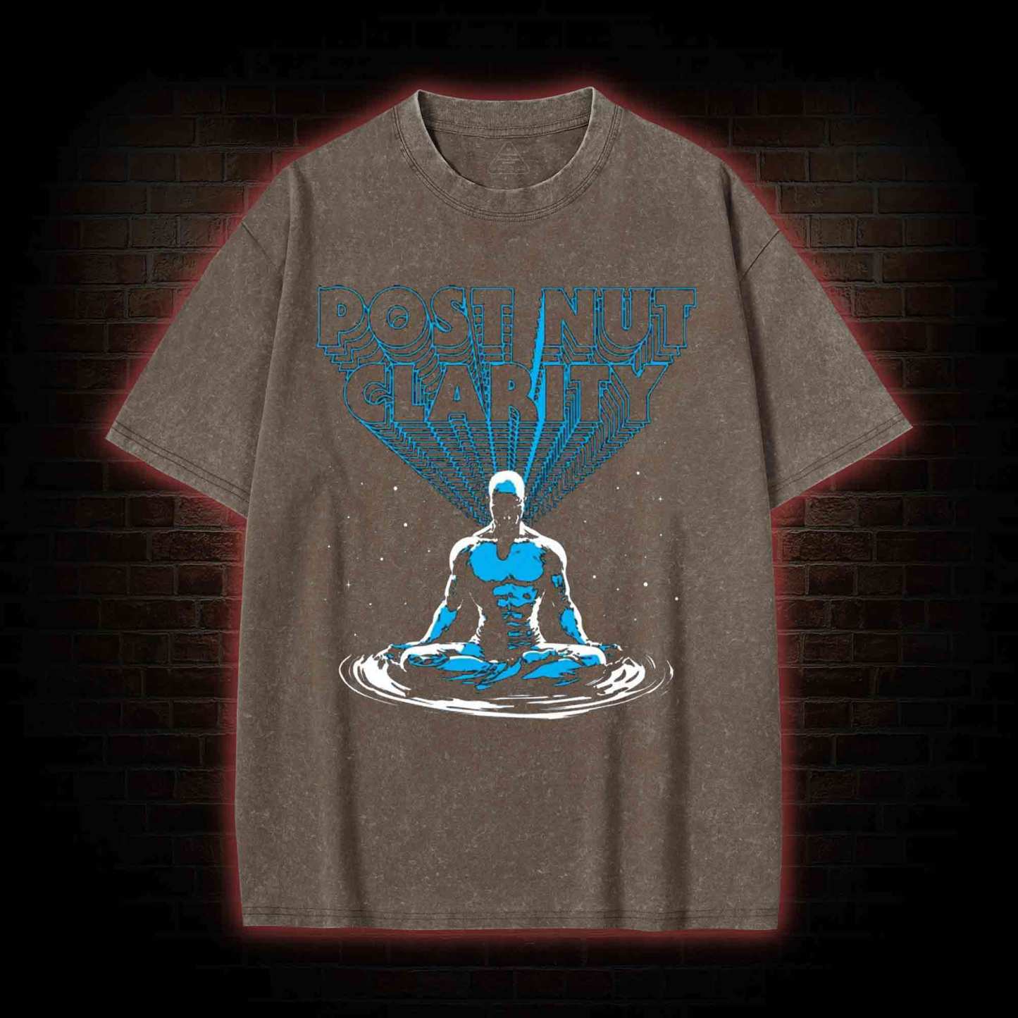 Post Nut Clarity Washed T-shirt