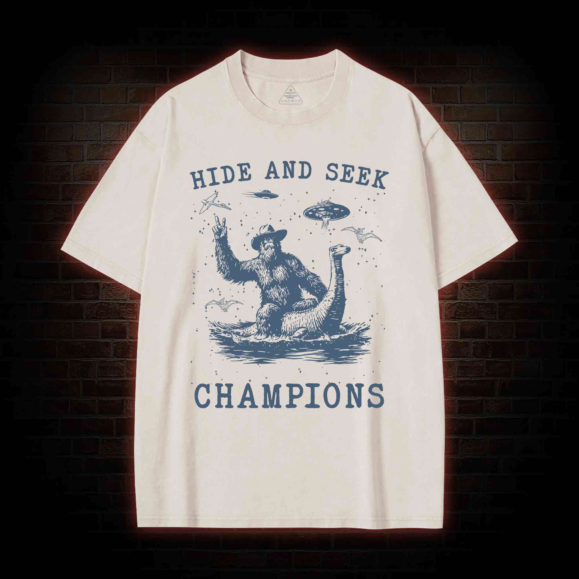 Hide & Seek Champion Washed T-shirt