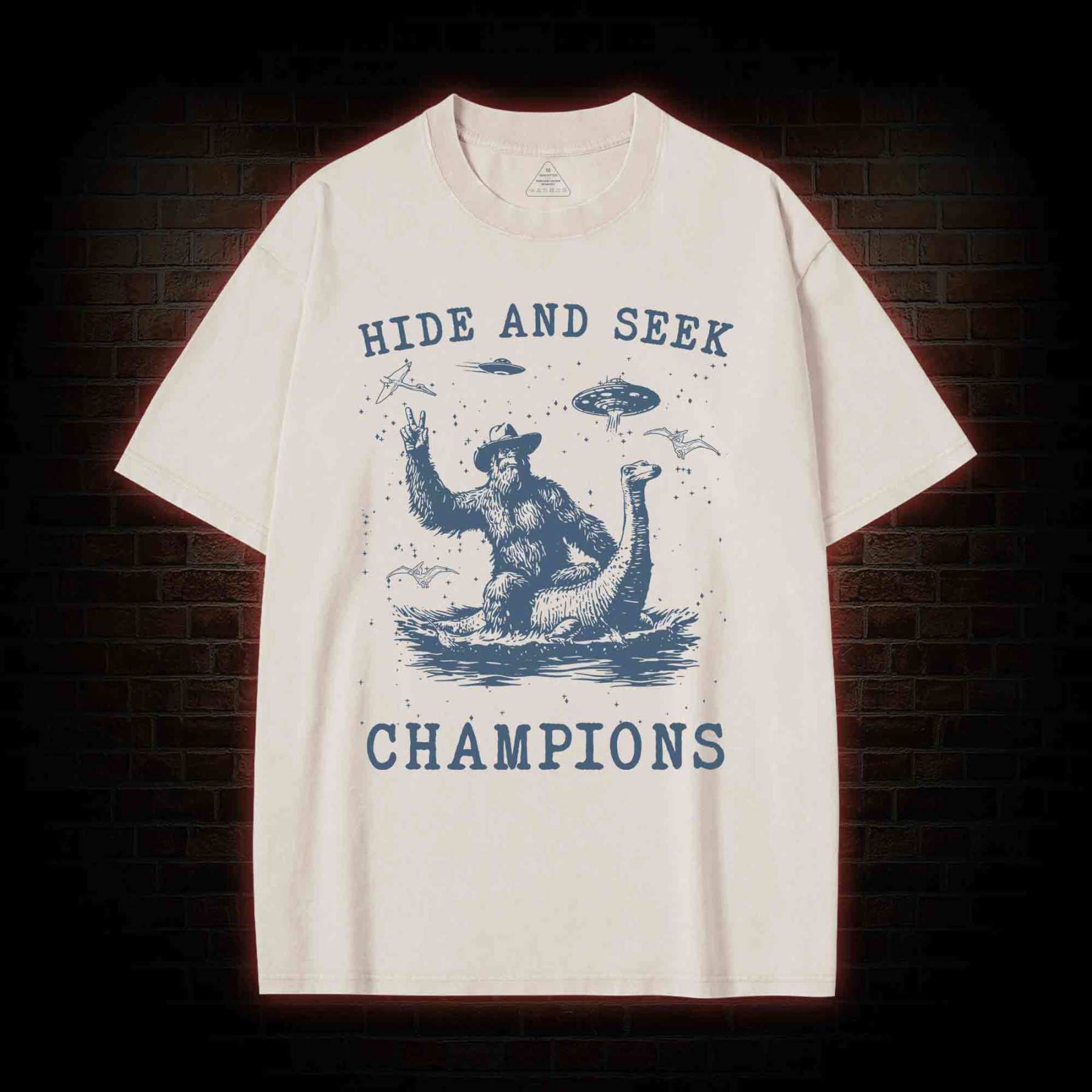 Hide & Seek Champion Washed T-shirt