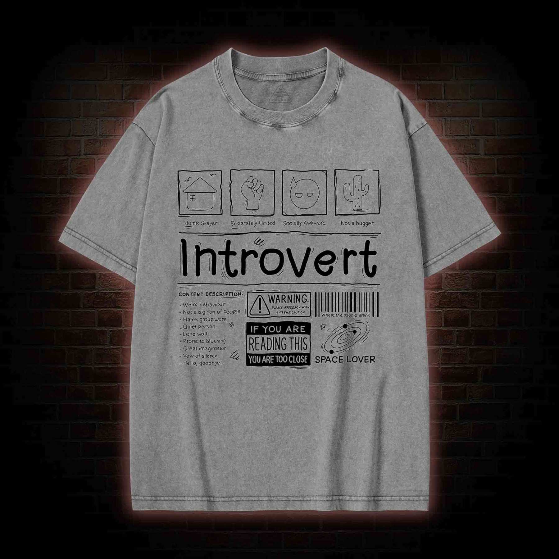 Introvert Washed T-shirt
