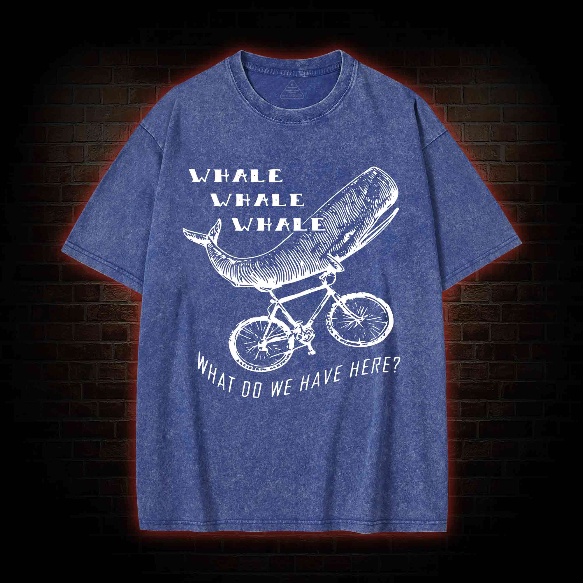 What Do We Have Here? Washed T-shirt