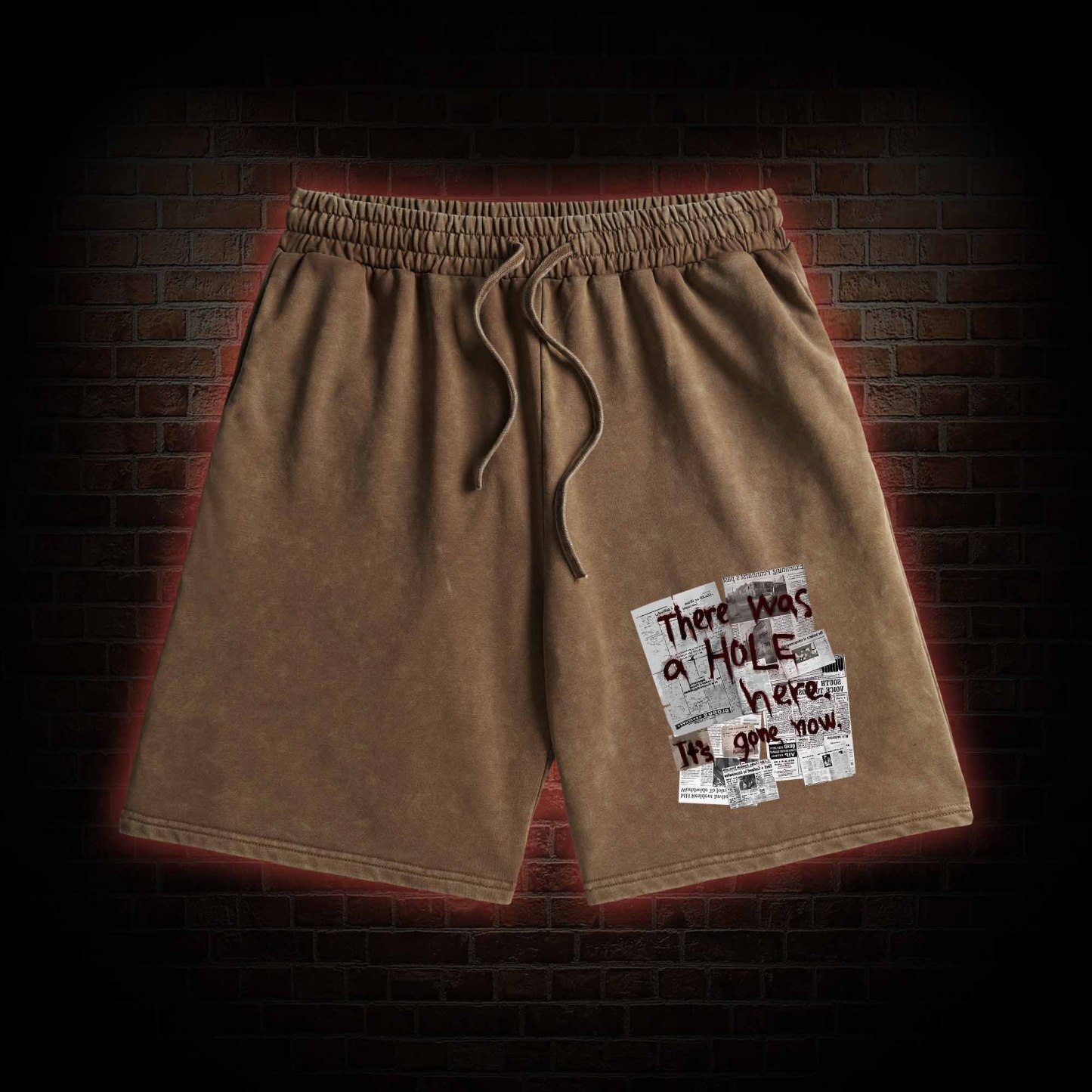 There Was a Hole Washed Shorts