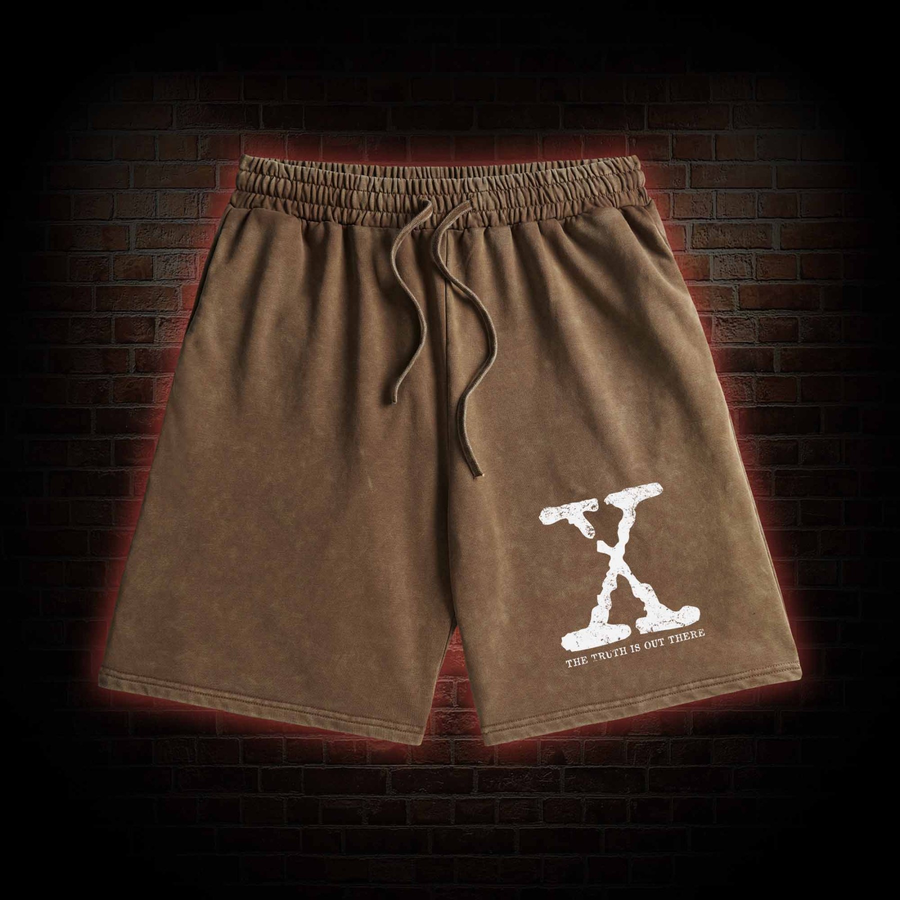 The True is Out There Retro Washed Shorts