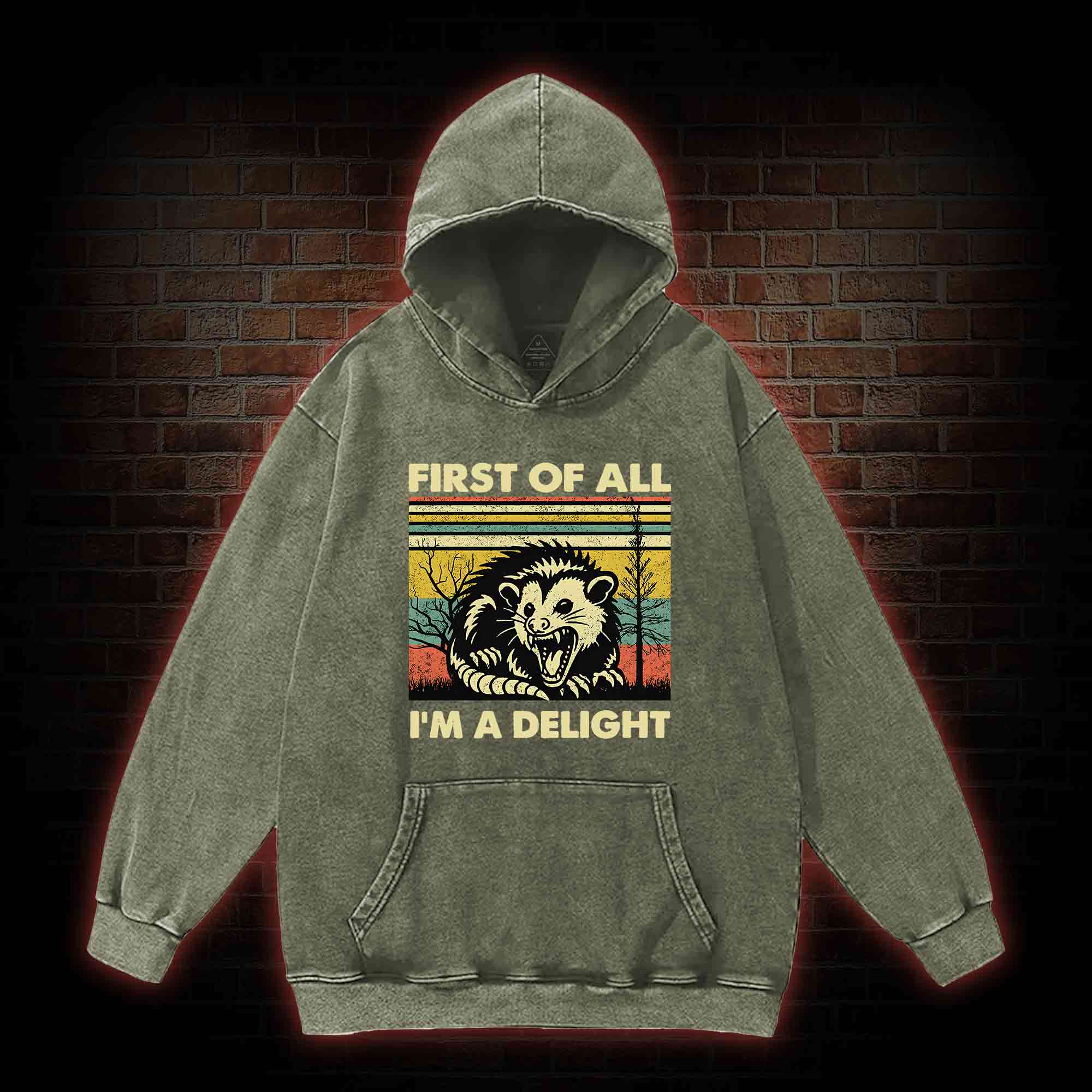 I'm A Delight Washed Hoodie