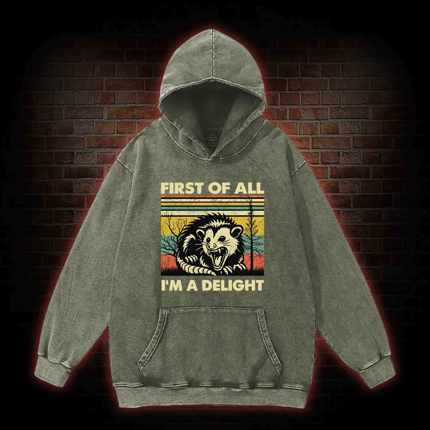 I'm A Delight Washed Hoodie