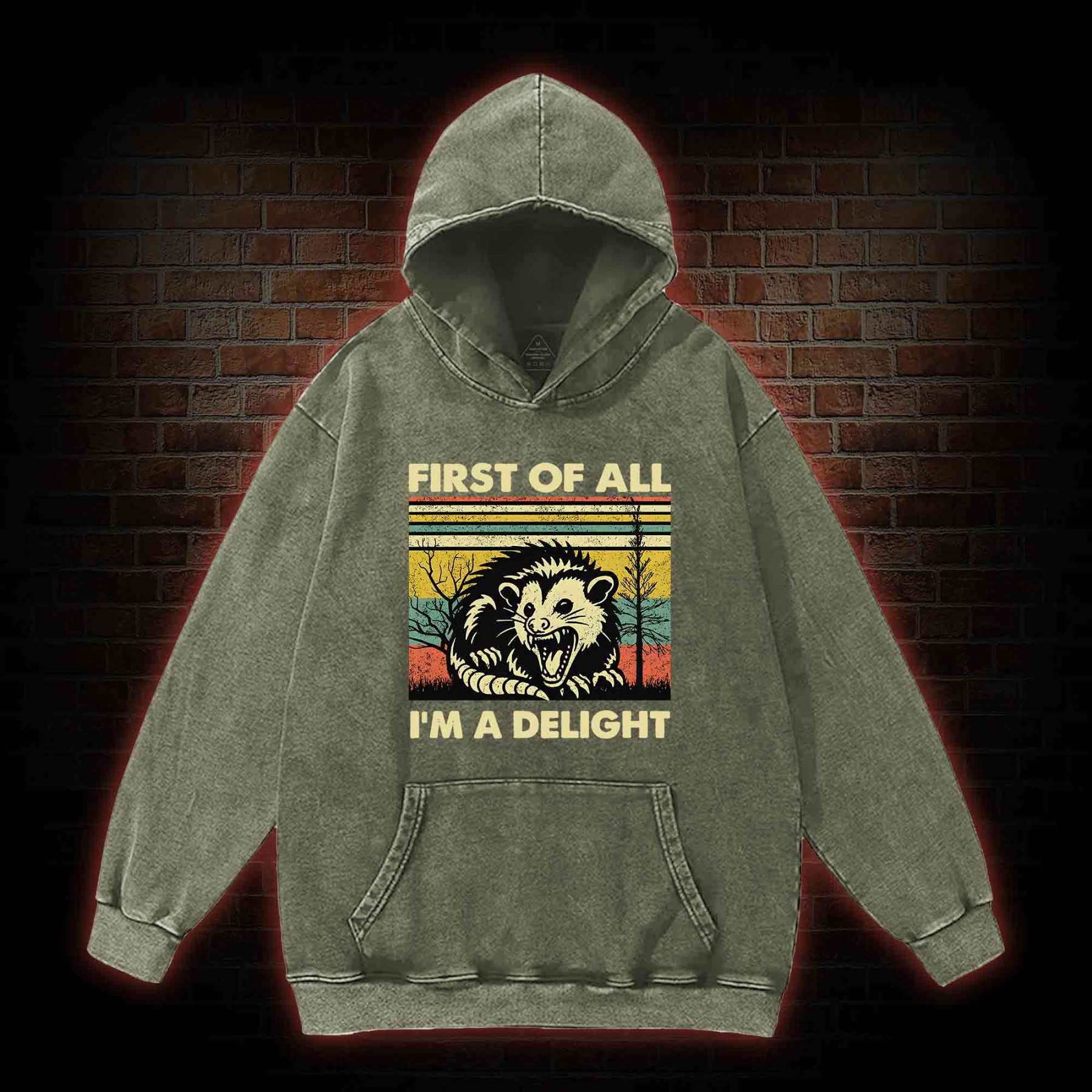 I'm A Delight Washed Hoodie