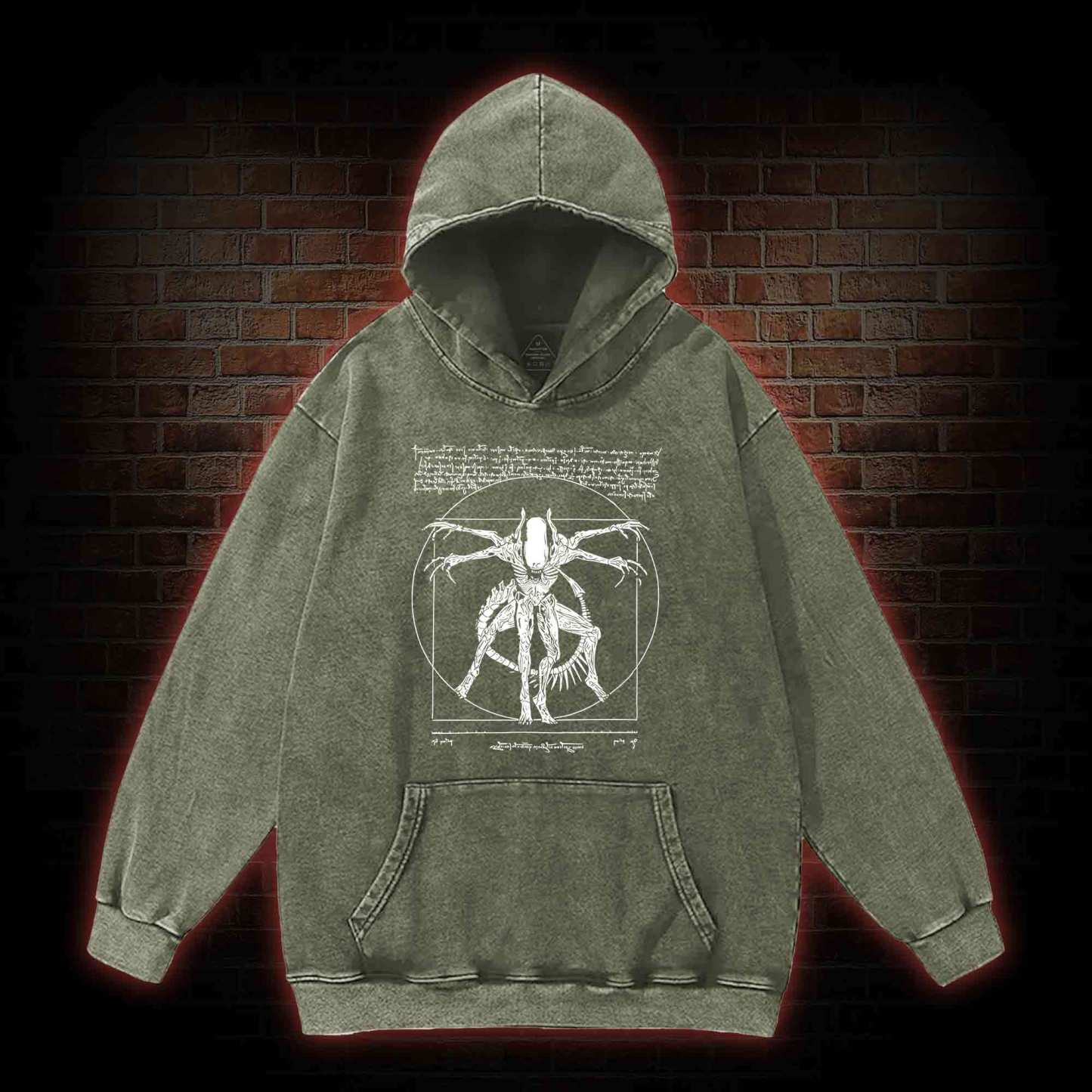 Alien Washed Hoodie