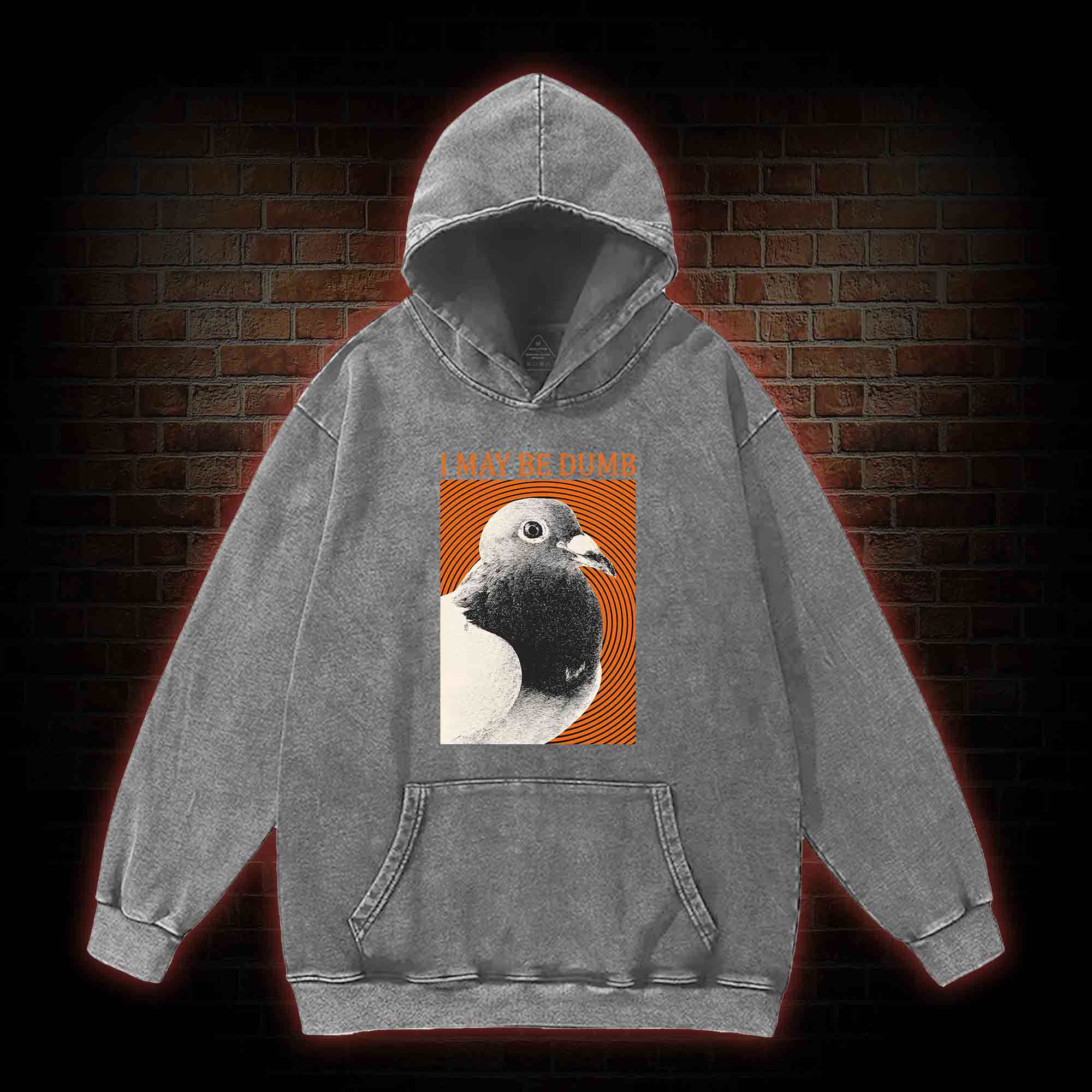 I May Be Dumb Washed Hoodie