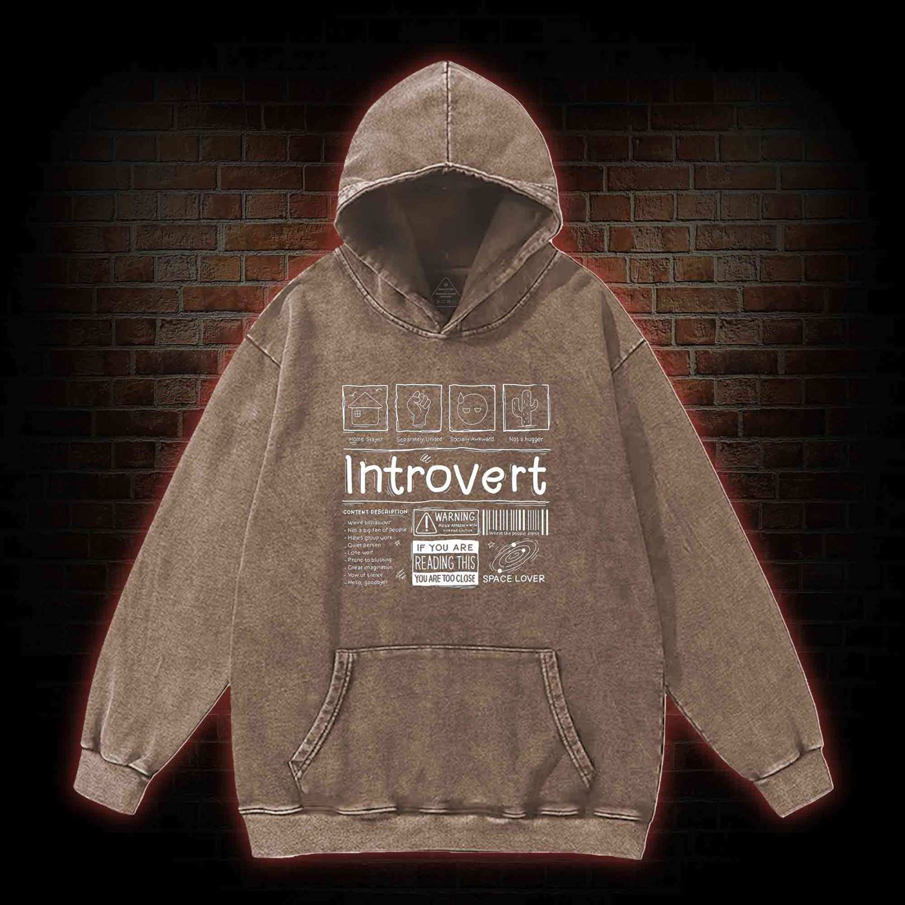 Introvert Washed Hoodie