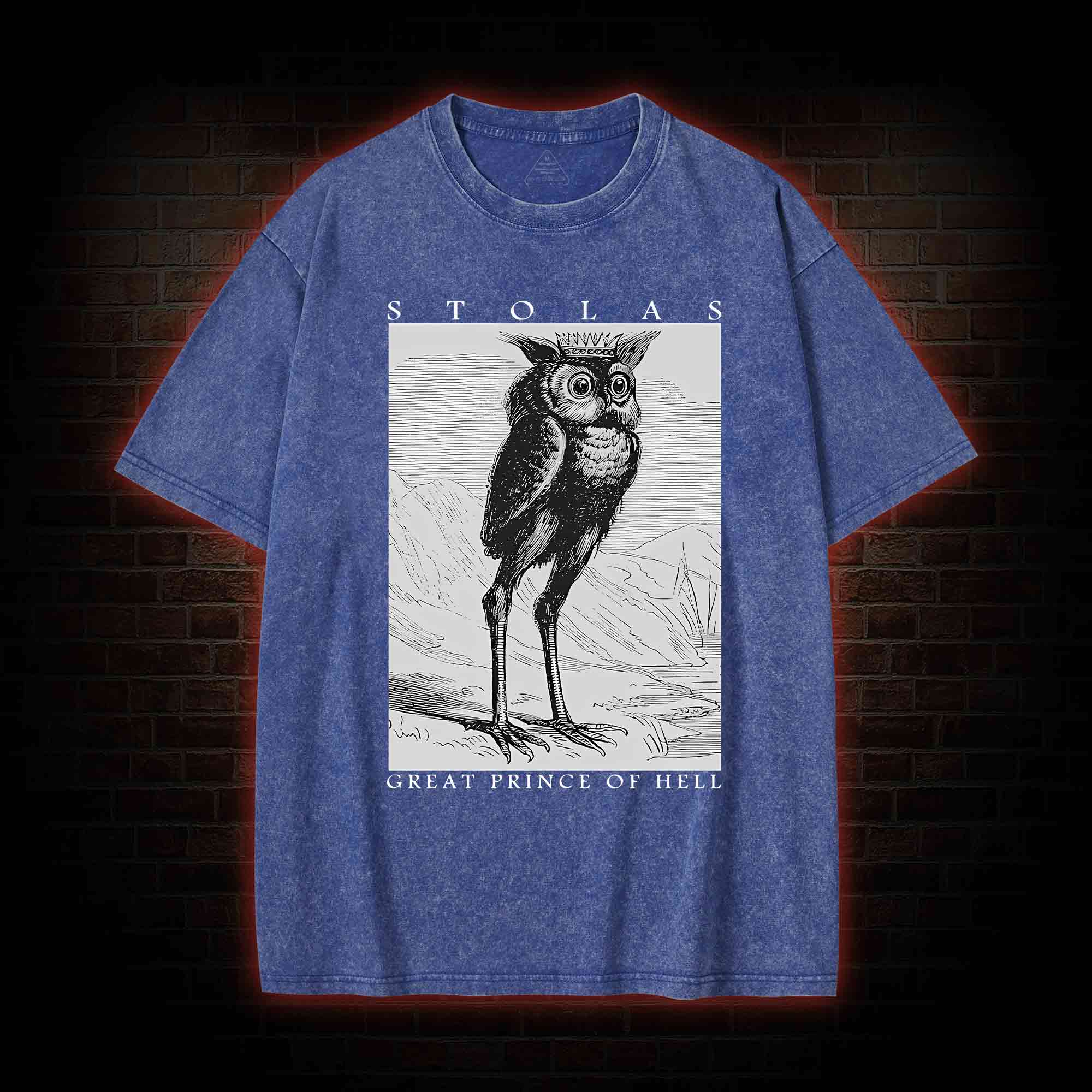 Stolas Prince Of Hell Washed T-shirt