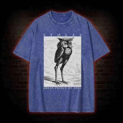 Stolas Prince Of Hell Washed T-shirt