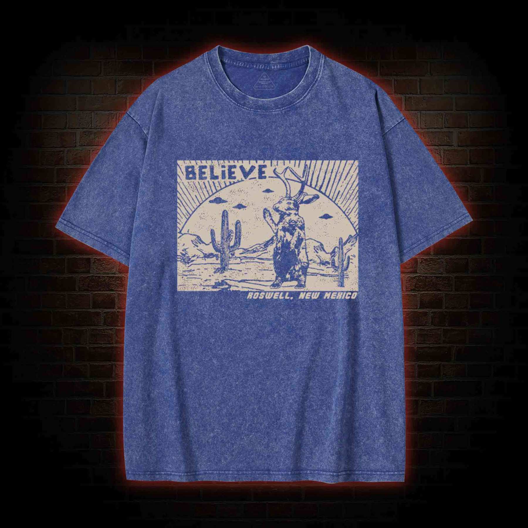 Believe Roswell New Nexico Washed T-shirt
