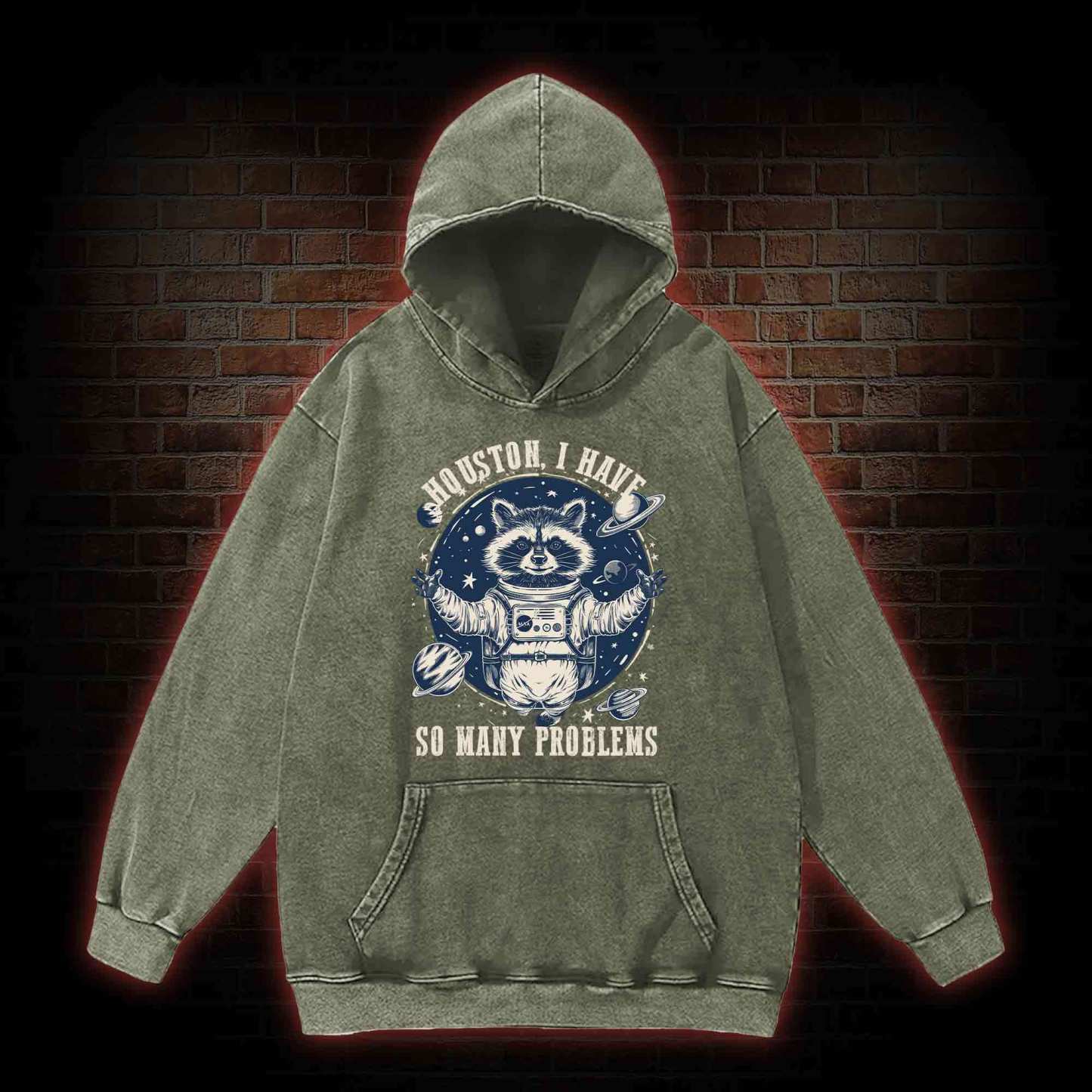 Houston I Have So Many Problems Raccoon Washed Hoodie