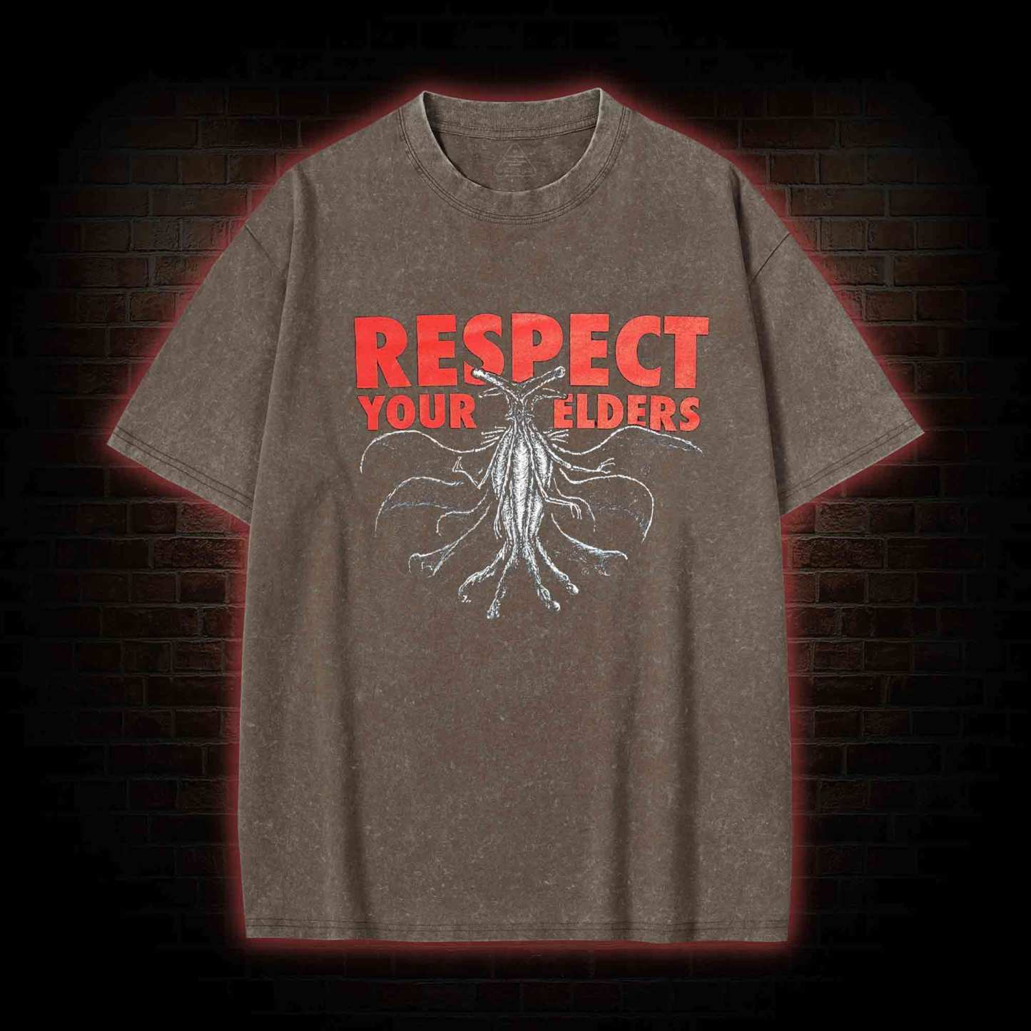 Respect Your Elders Washed T-shirt