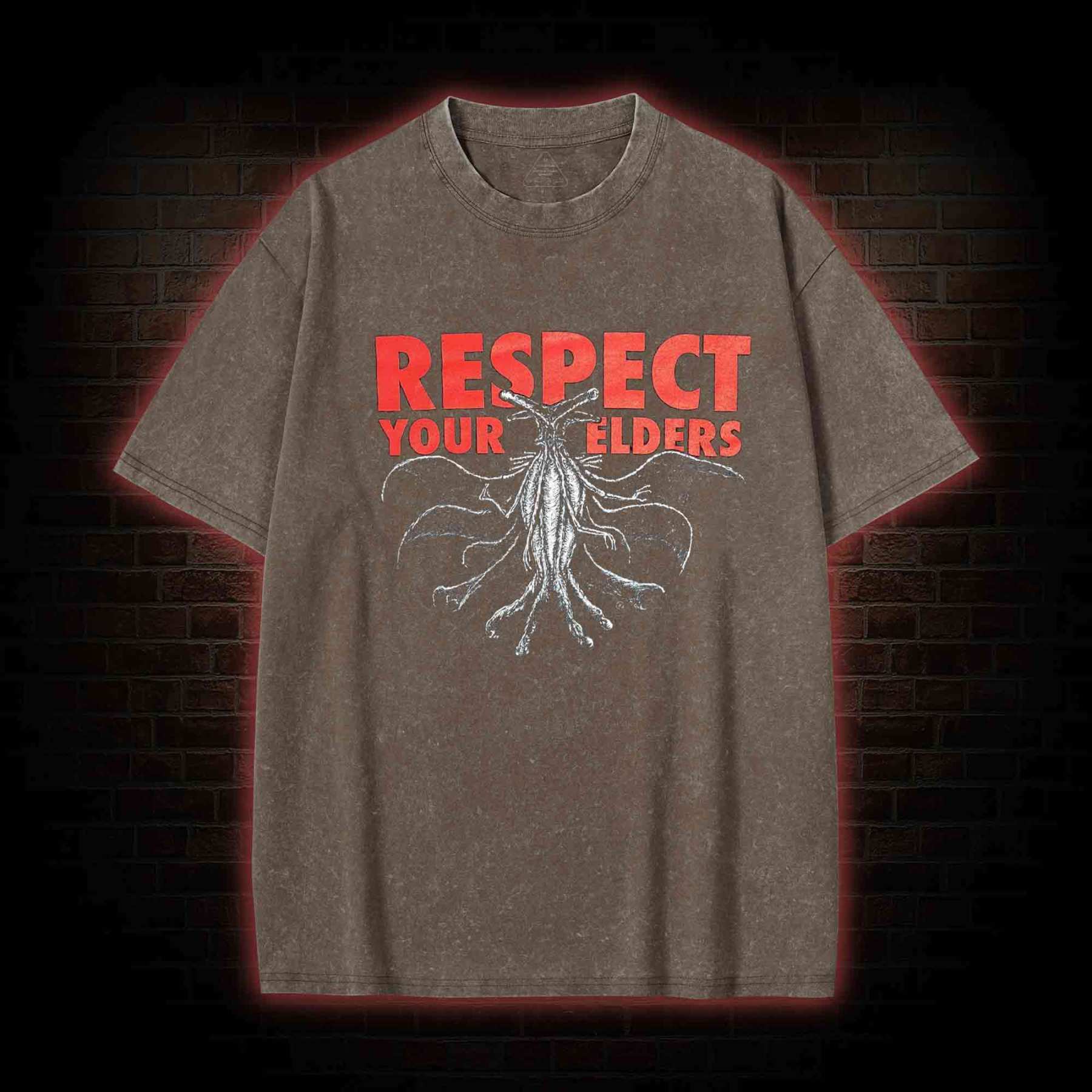 Respect Your Elders Washed T-shirt