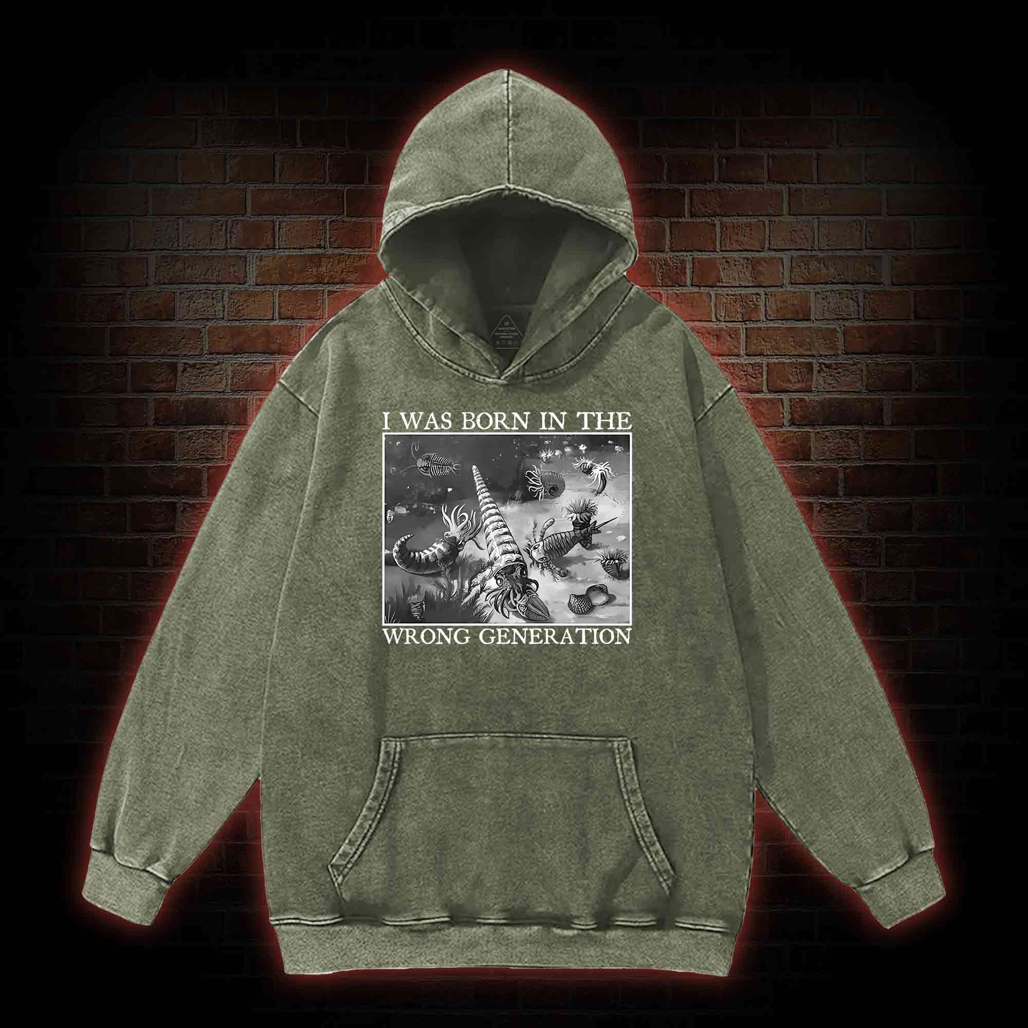 I Was Born In The Wrong Generation Washed Hoodie