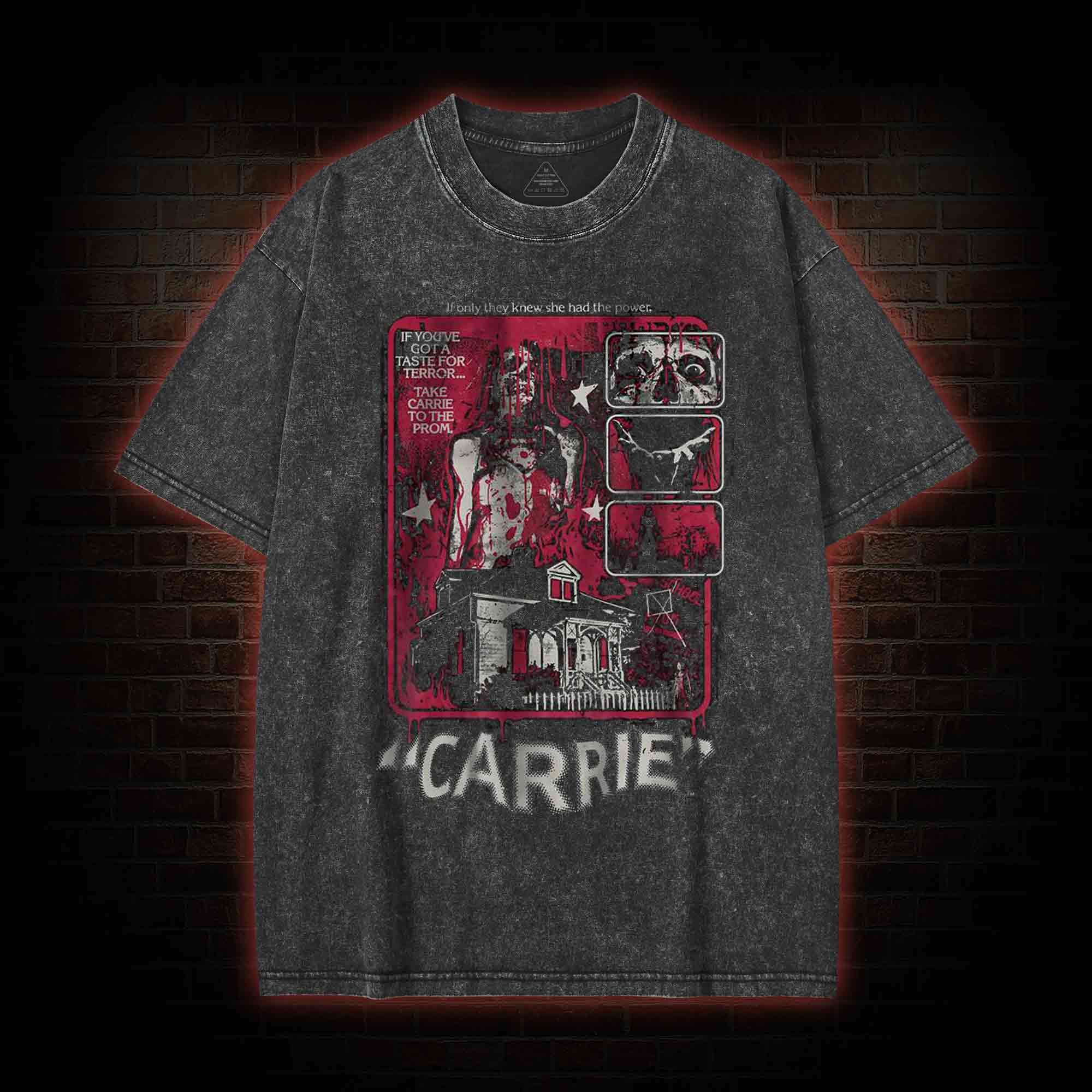You Will Know Her Name Washed T-shirt