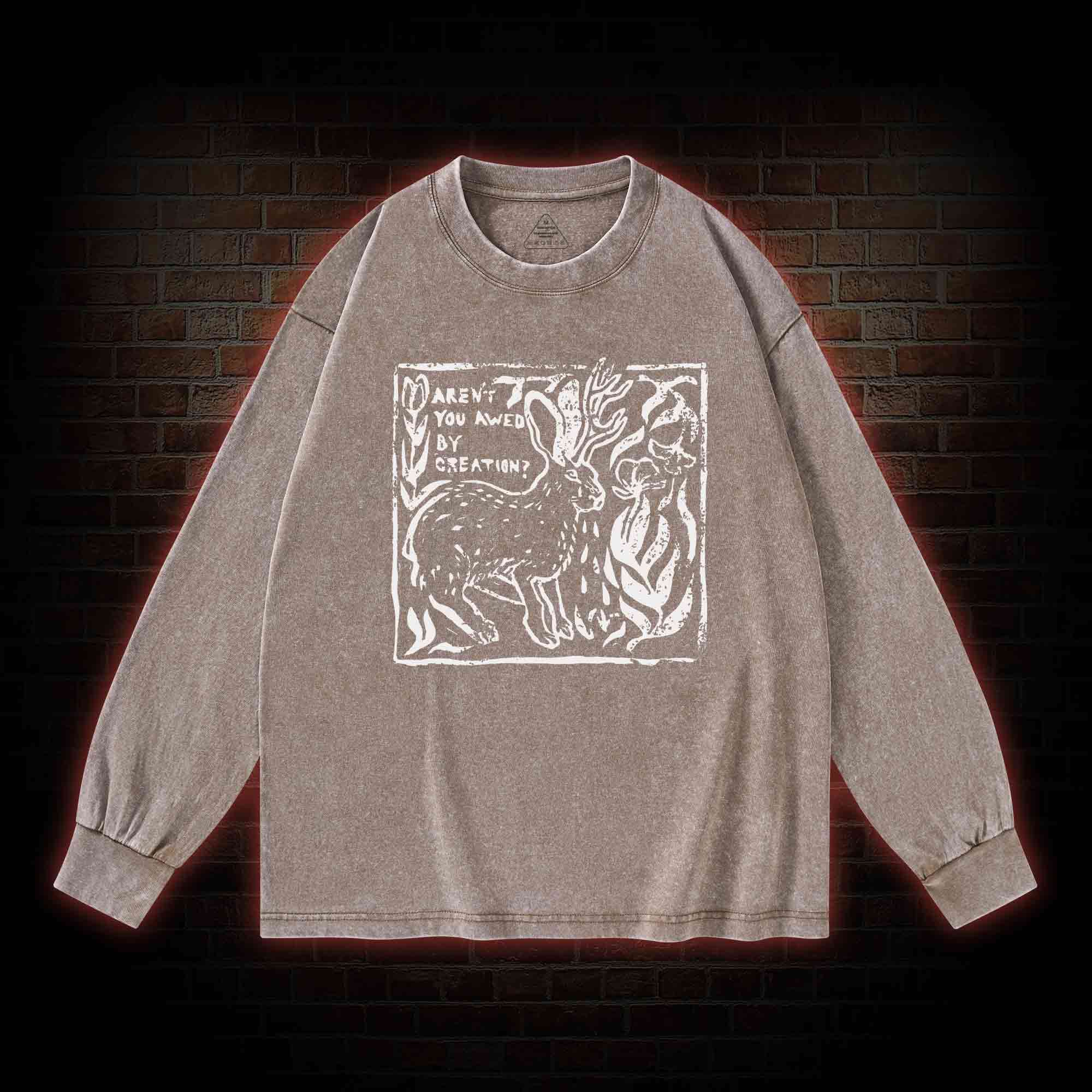 Aren't You Awed by Creation Washed Long-Sleeve T-shirt