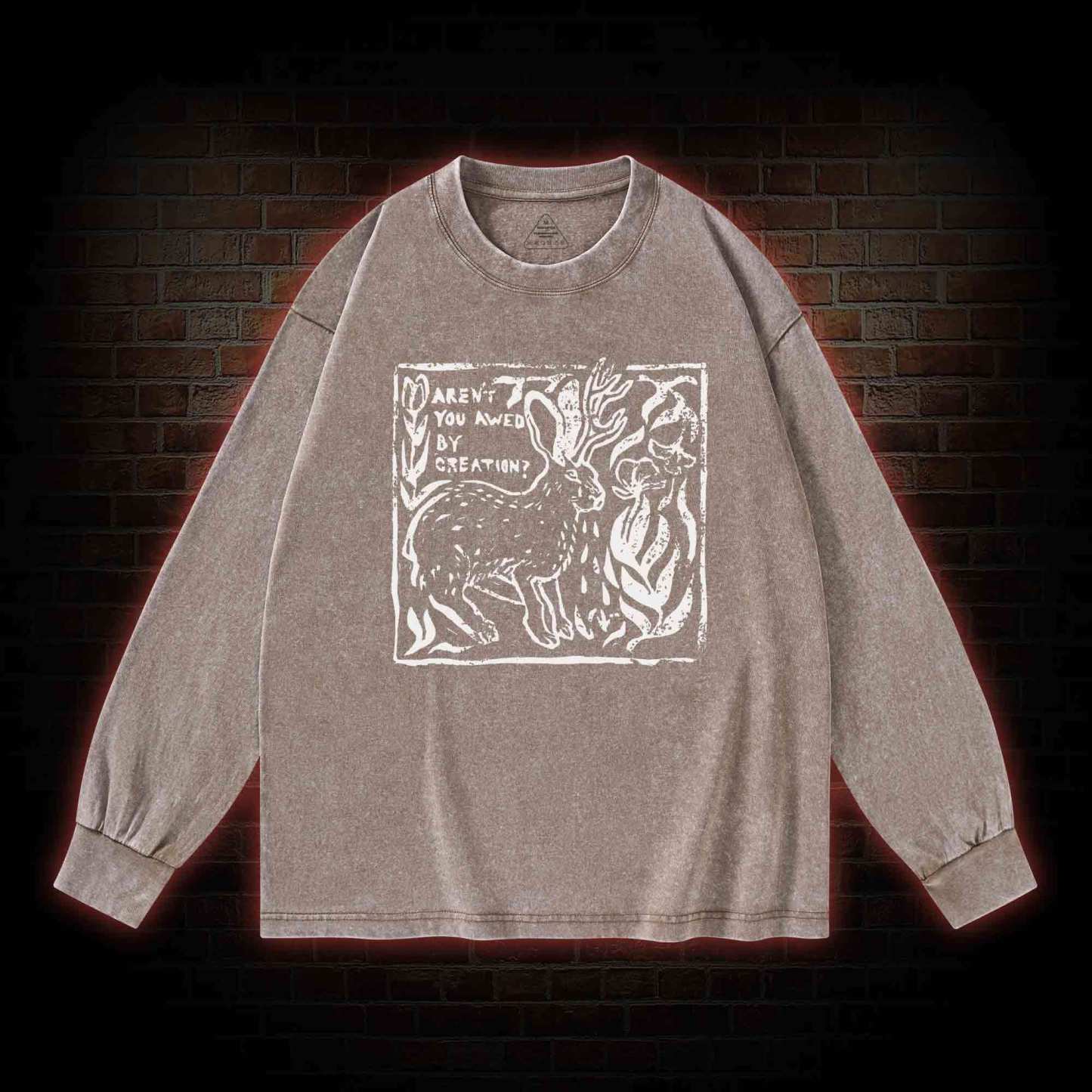Aren't You Awed by Creation Washed Long-Sleeve T-shirt