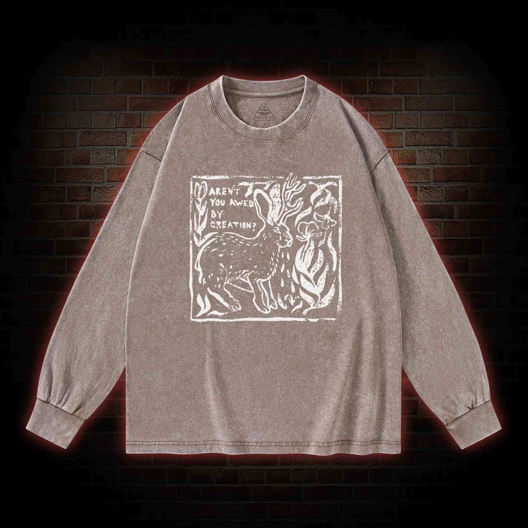 Aren't You Awed by Creation Washed Long-Sleeve T-shirt