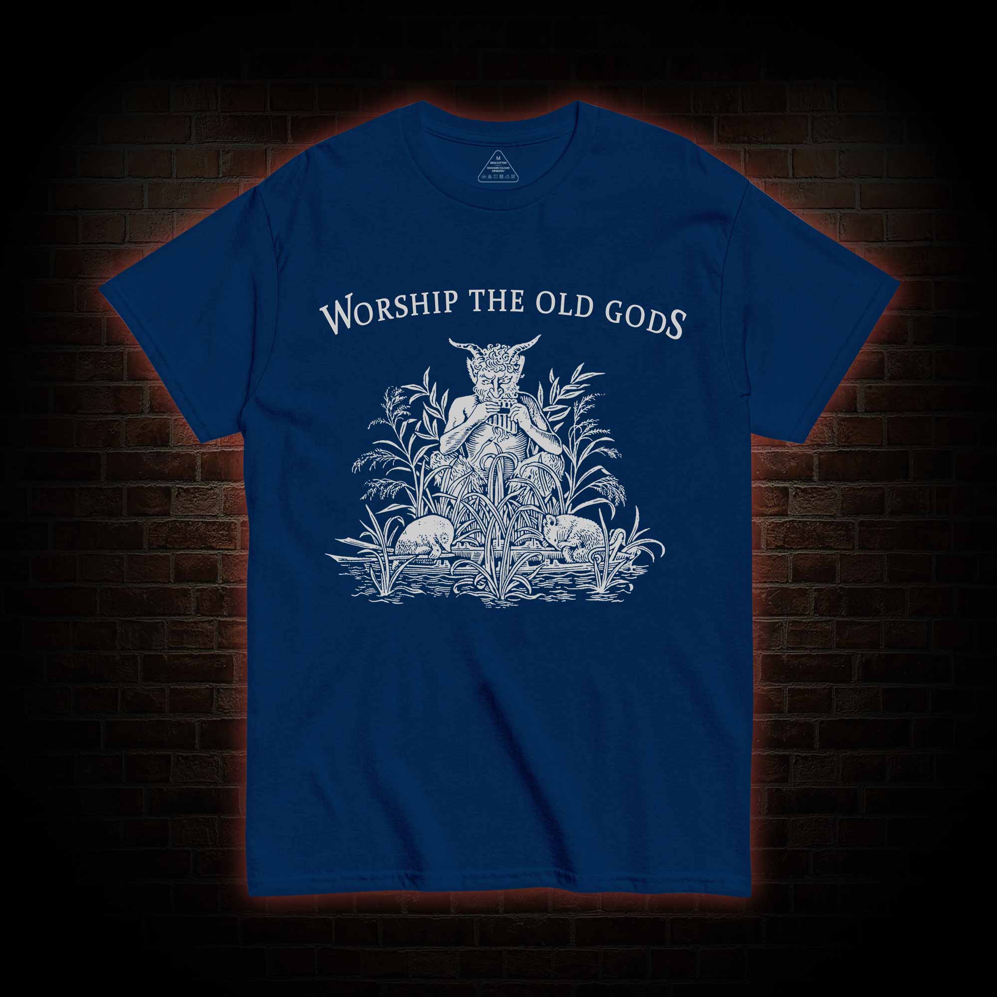 Worship The Old Gods T-shirt