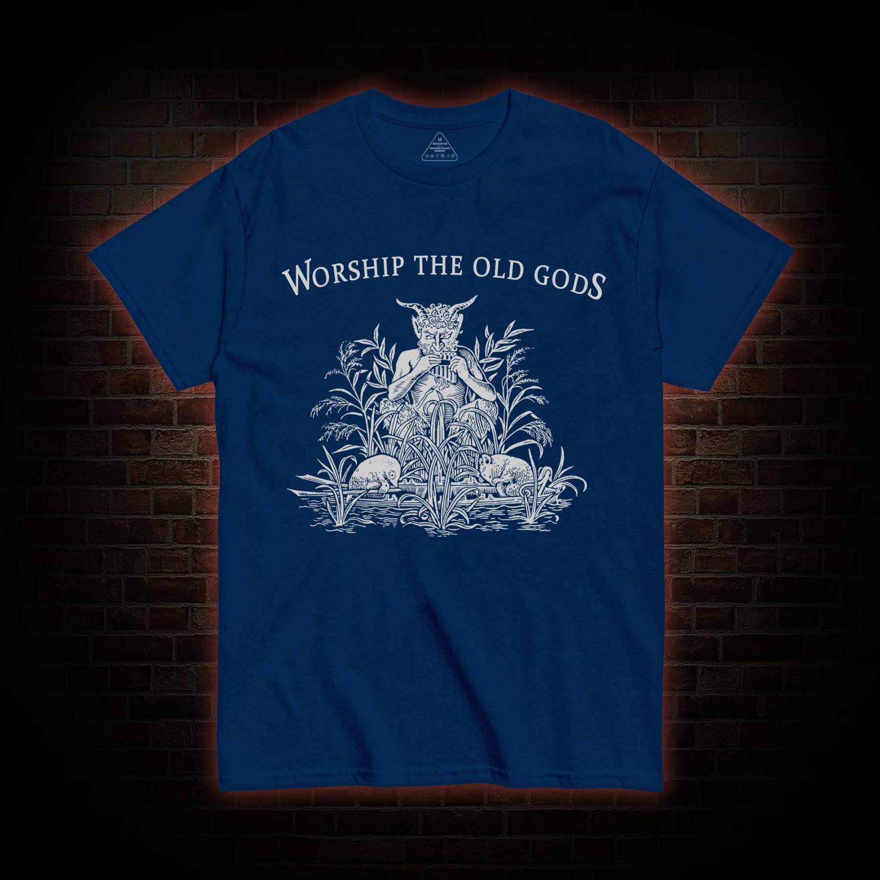 Worship The Old Gods T-shirt