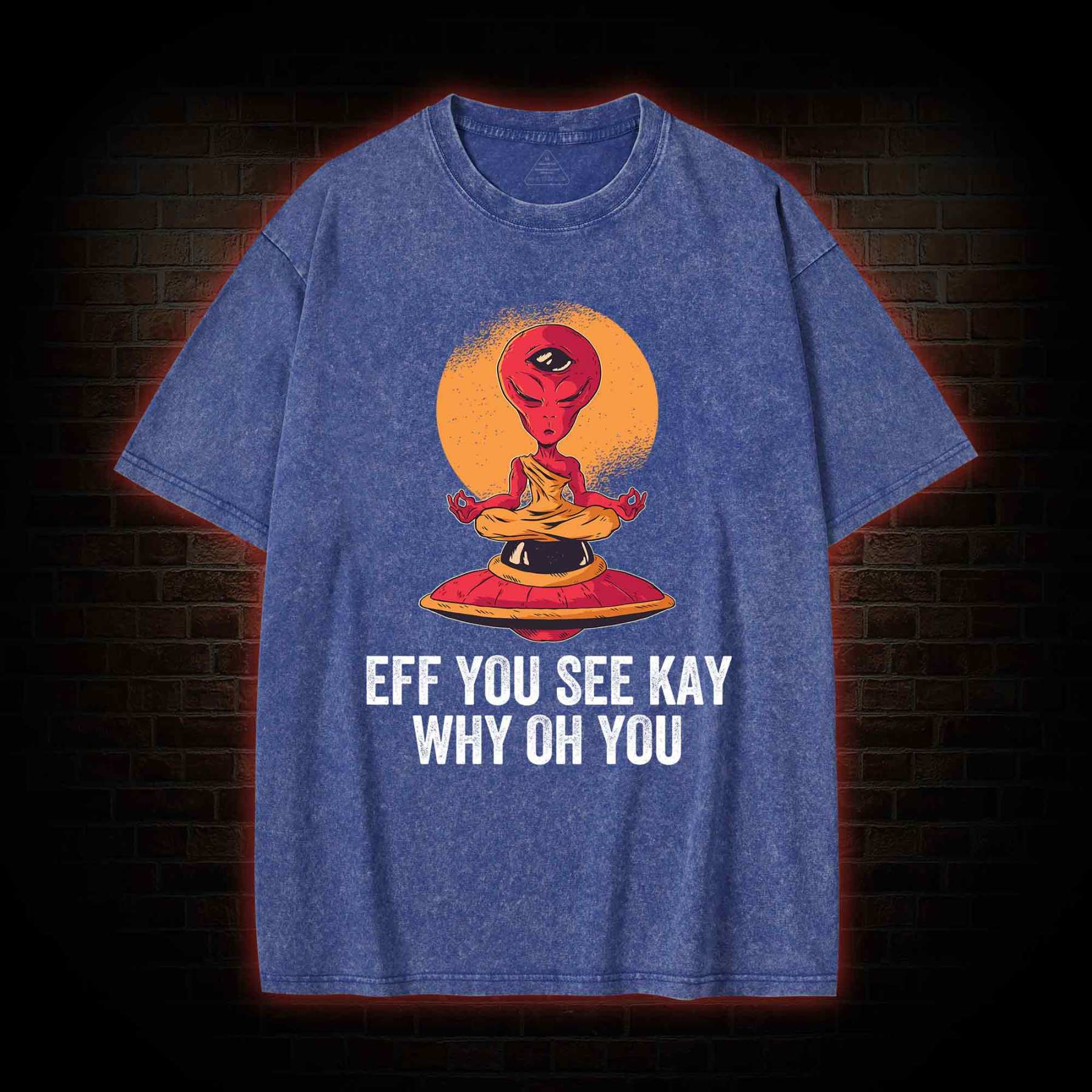 Eff You See Kay Why Oh You Alien Washed T-shirt
