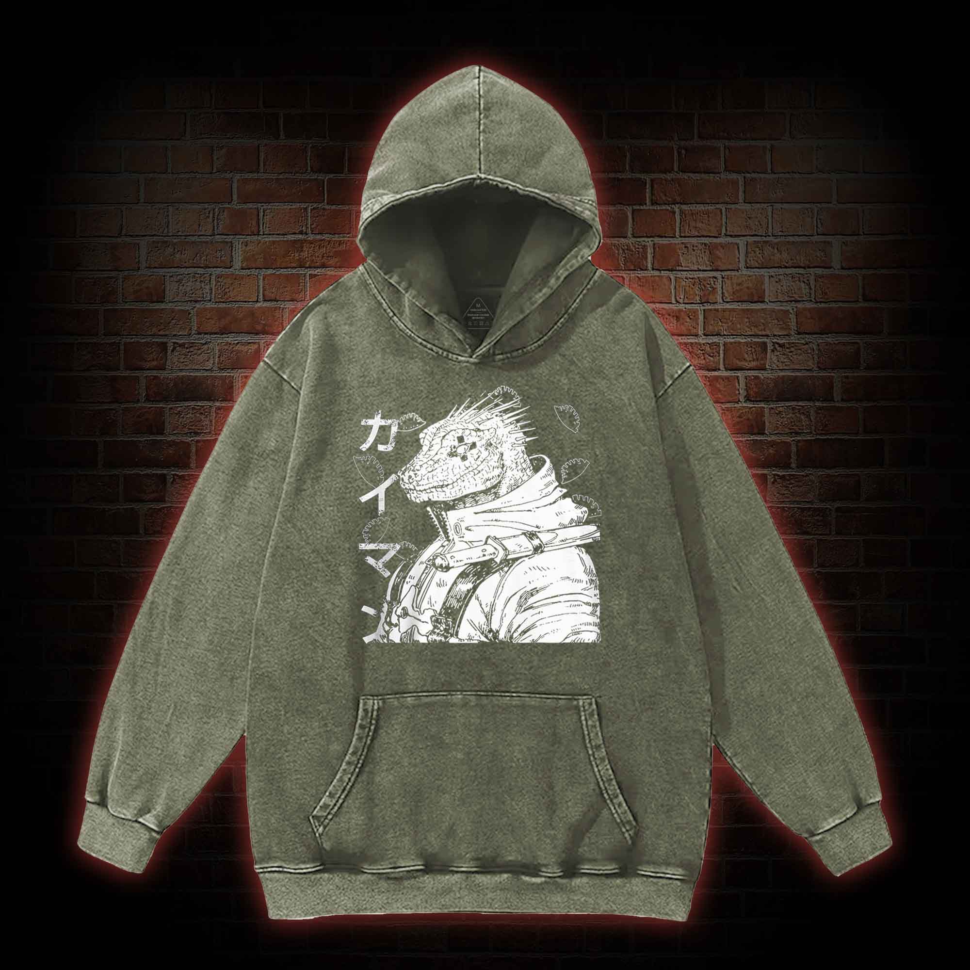 2568 Washed Hoodie