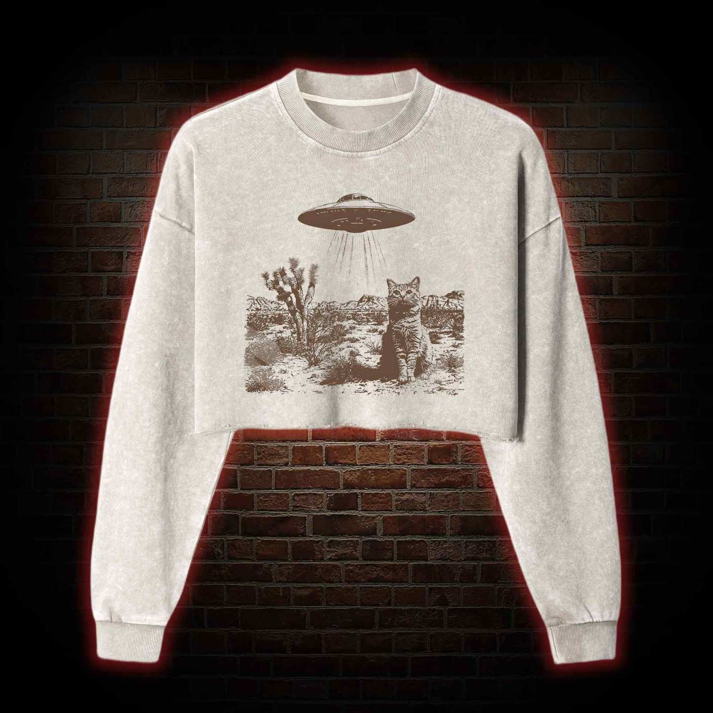 Ufo Cowboy Cat Washed Cropped Sweatshirts