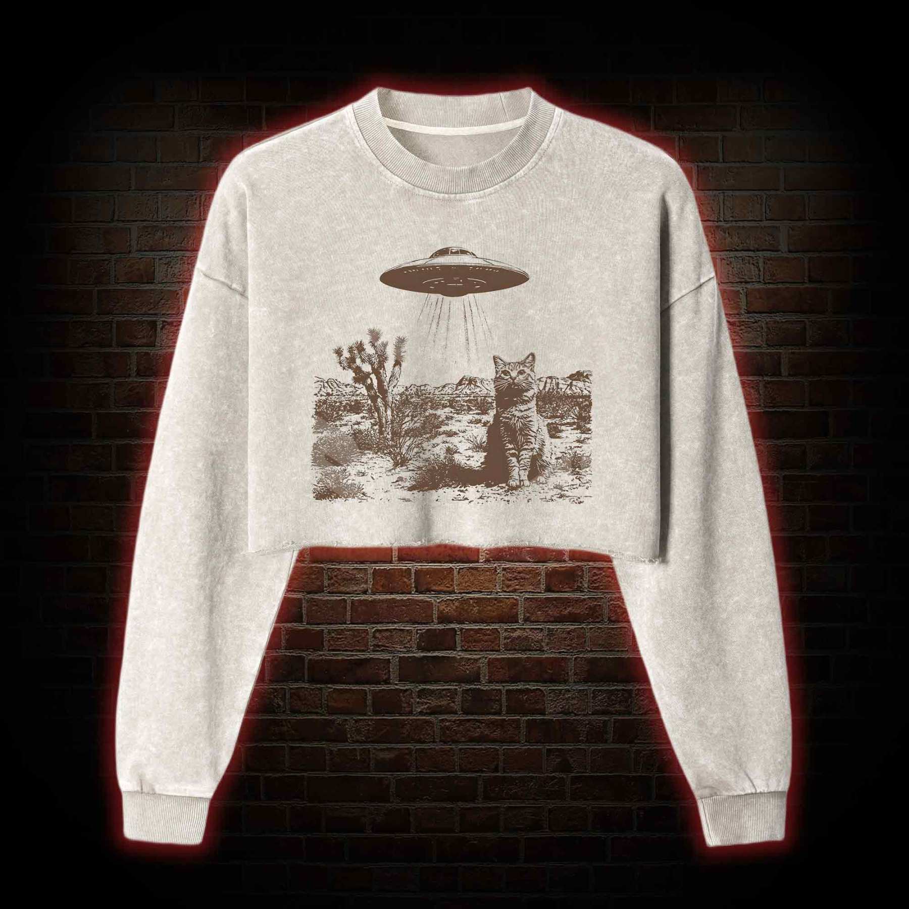 Ufo Cowboy Cat Washed Cropped Sweatshirts