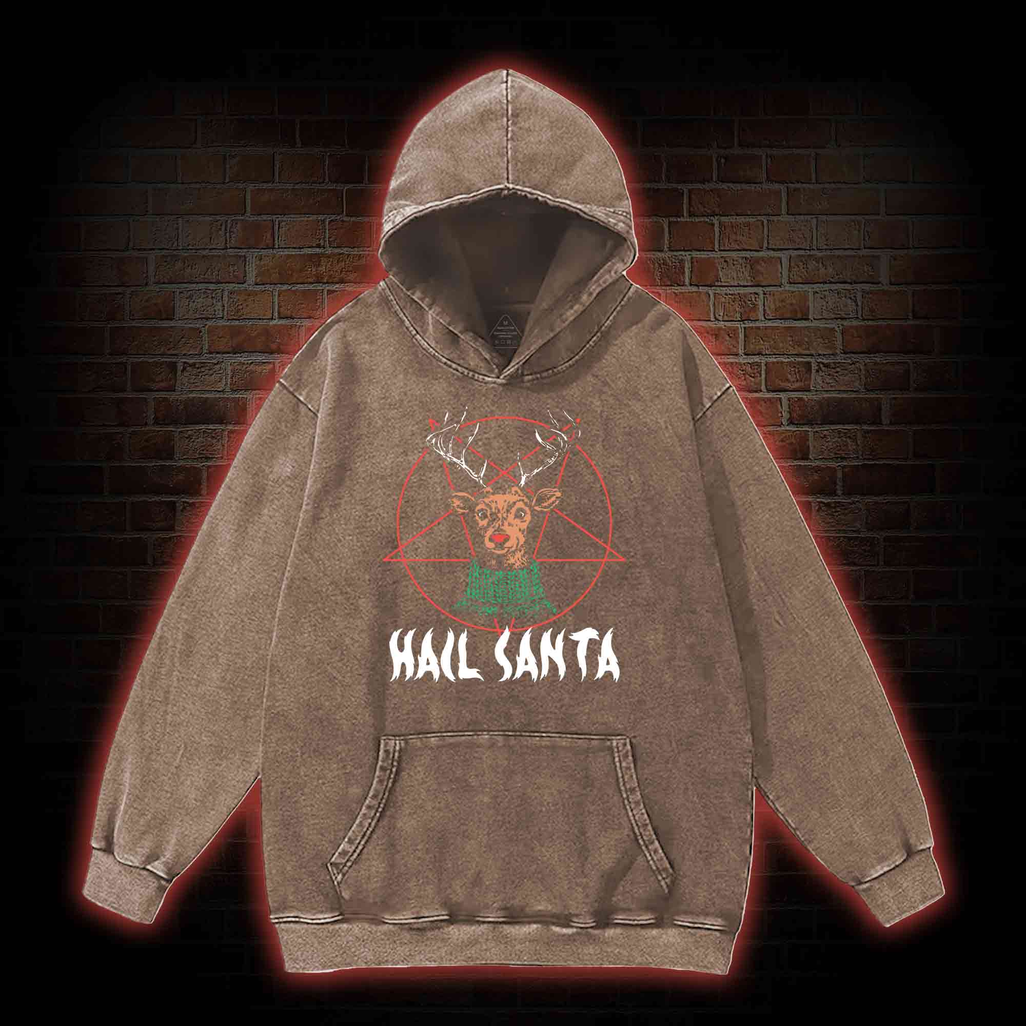 Hail Santa Washed Hoodie