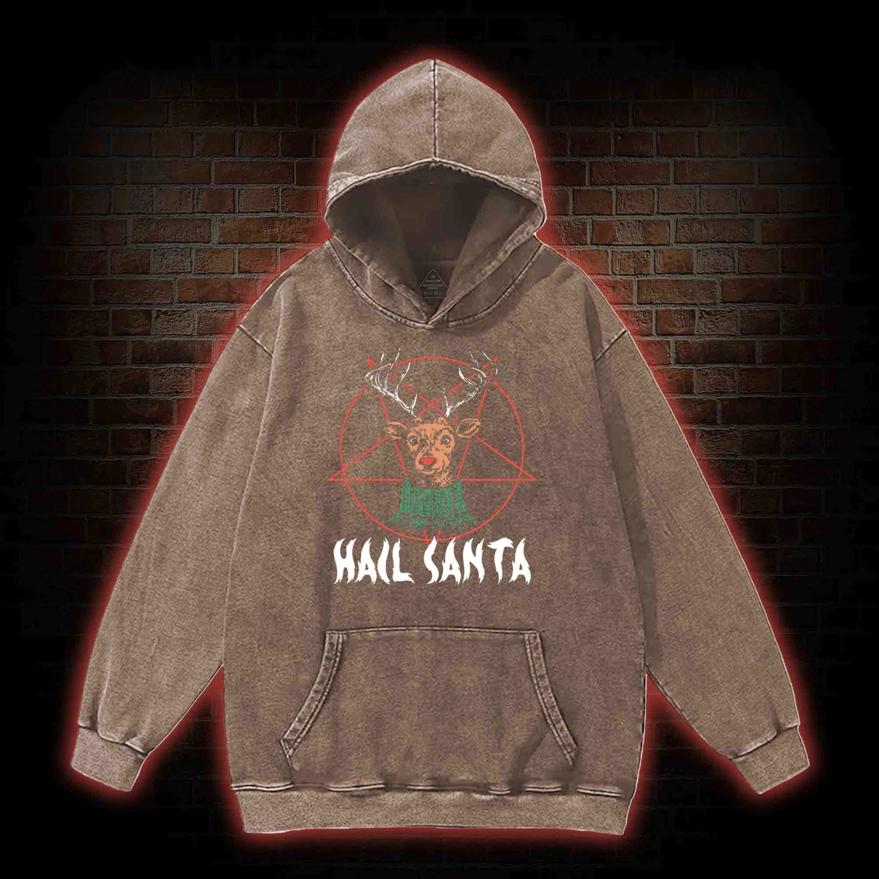 Hail Santa Washed Hoodie