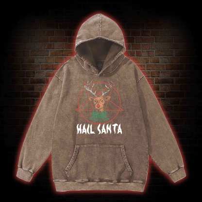 Hail Santa Washed Hoodie