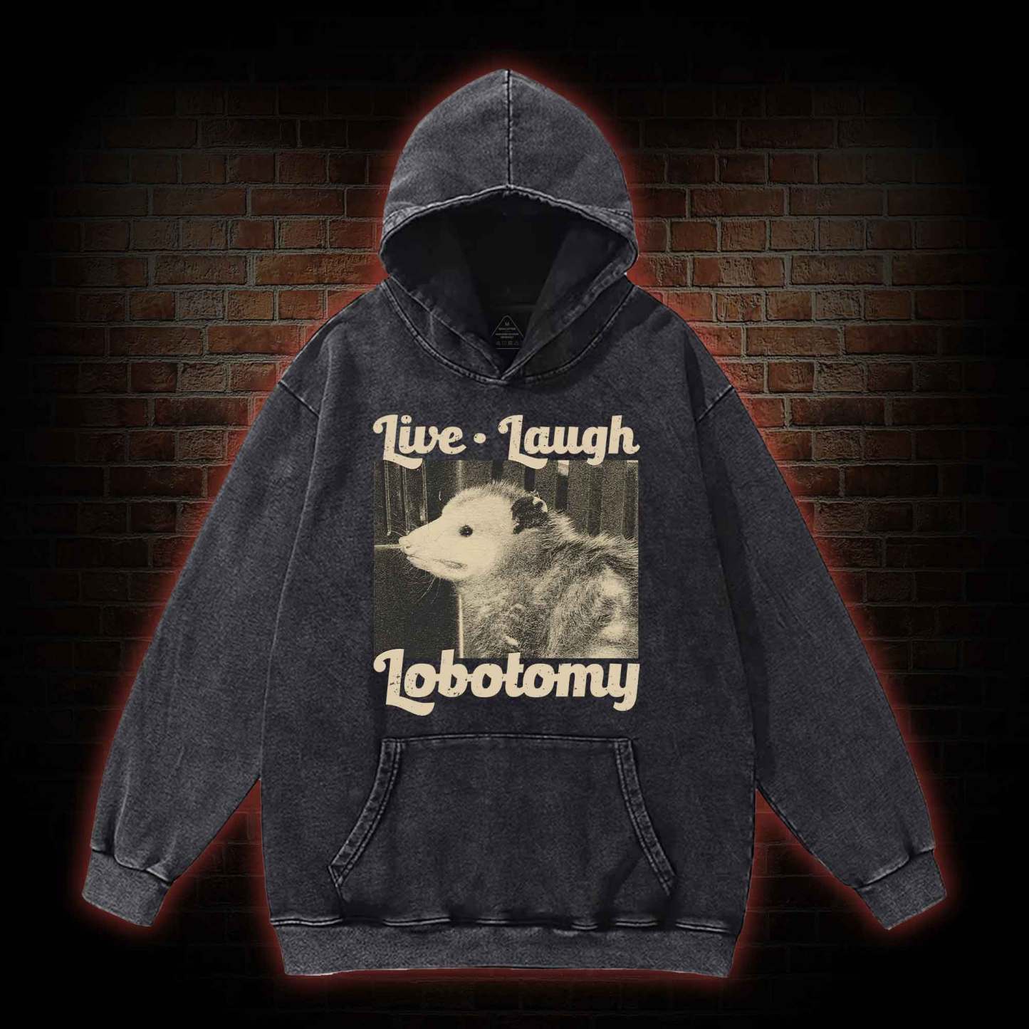 Live Laugh Lobotomy Washed Hoodie