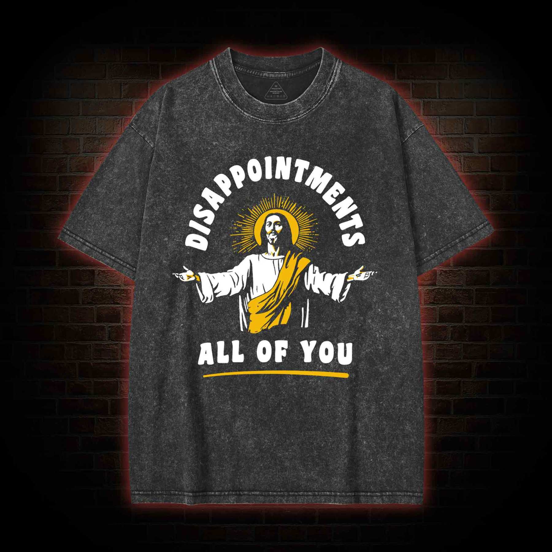 Disappointments All Of You Washed T-shirt