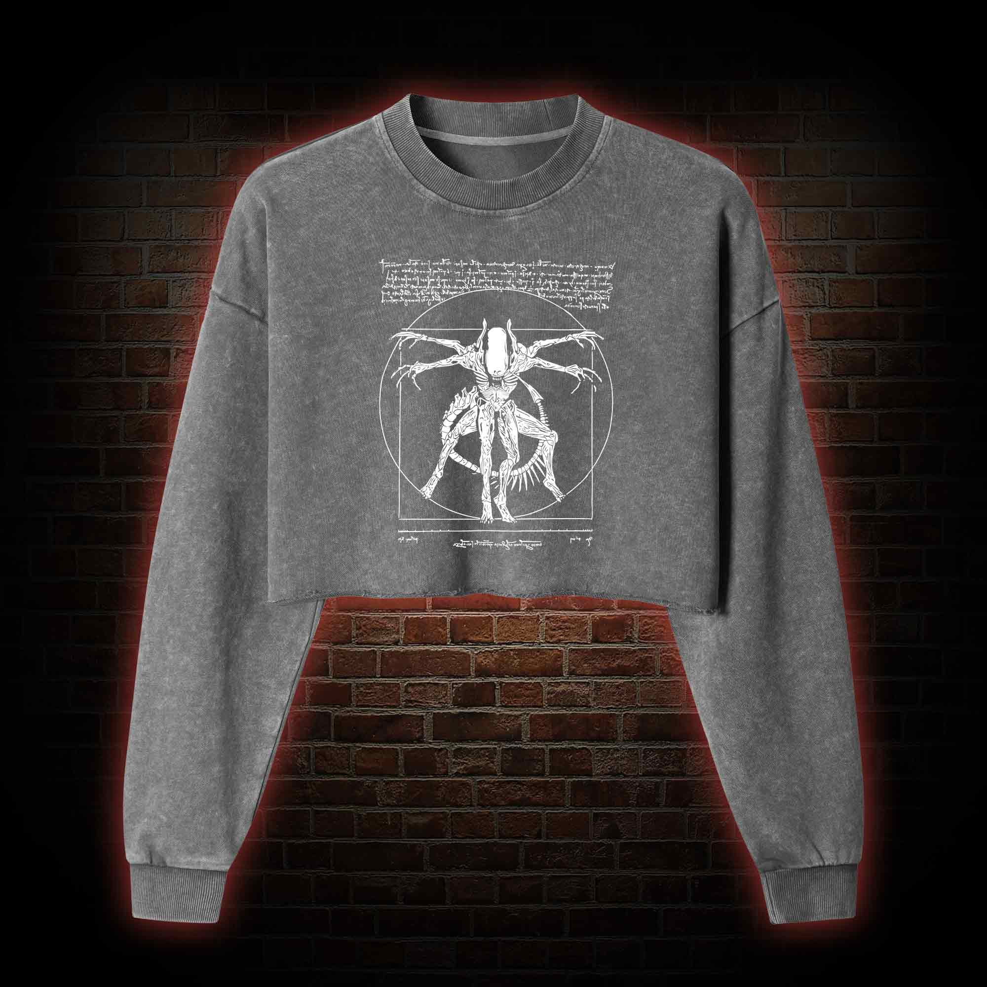 Alien Washed Cropped Sweatshirts