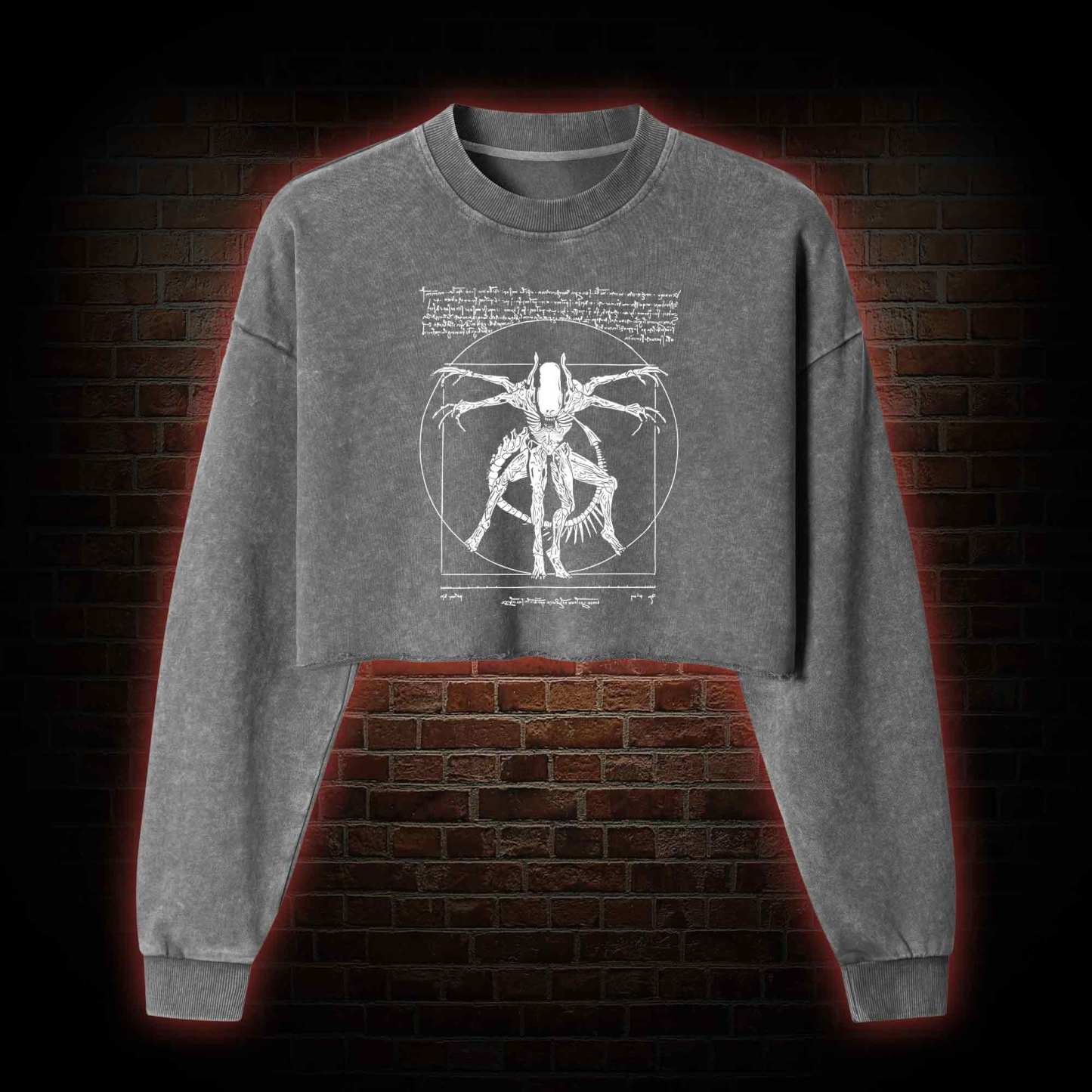 Alien Washed Cropped Sweatshirts