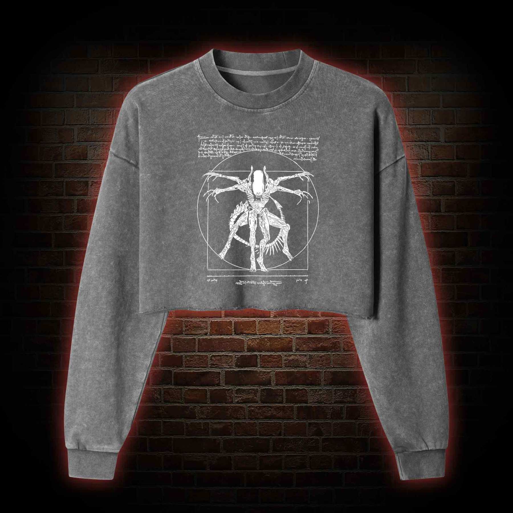 Alien Washed Cropped Sweatshirts