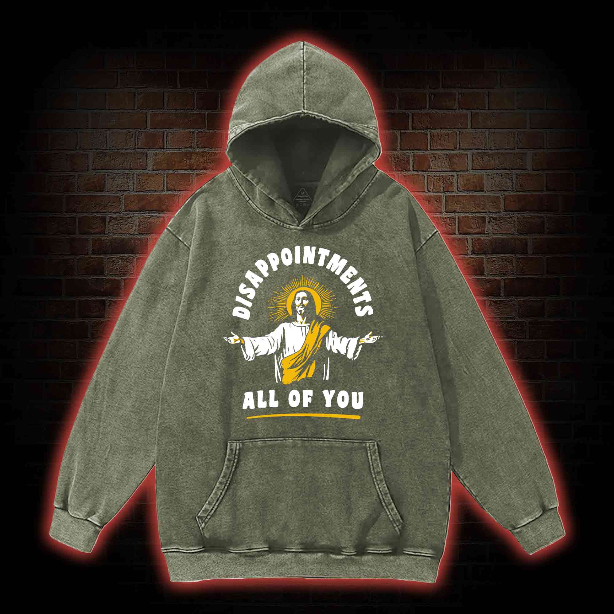 Disappointments All Of You Washed Hoodie