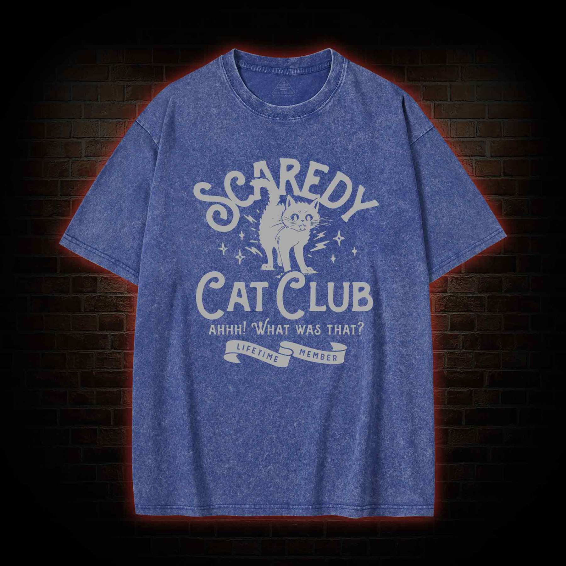 Scaredy Cat Club Washed T-shirt