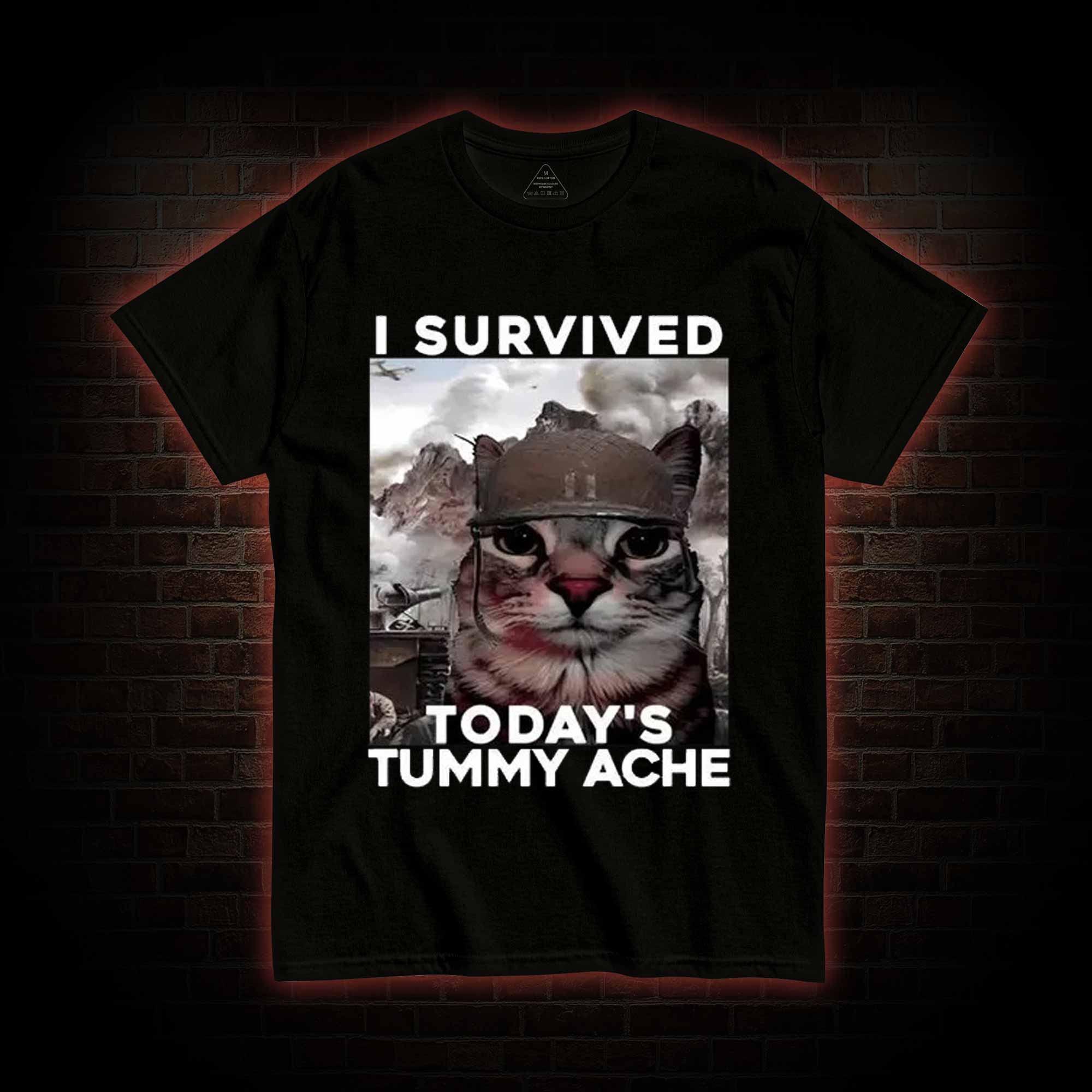 I Survived Today's Tummy Ache T-Shirt