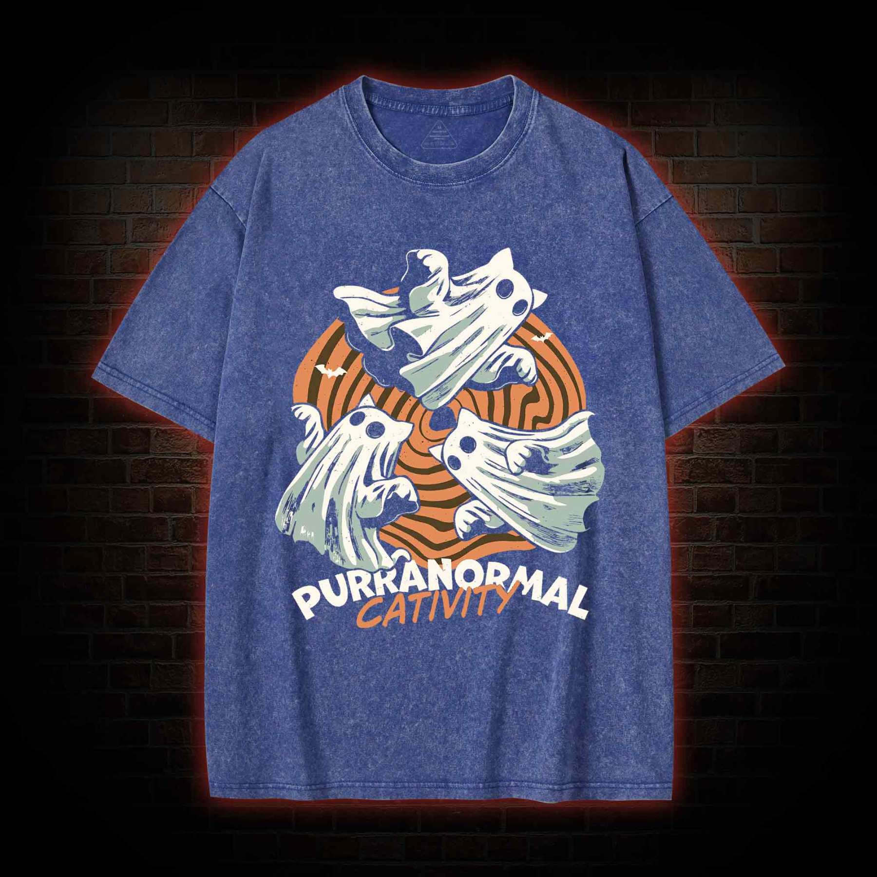 Ghost Hunting Washed T-shirt