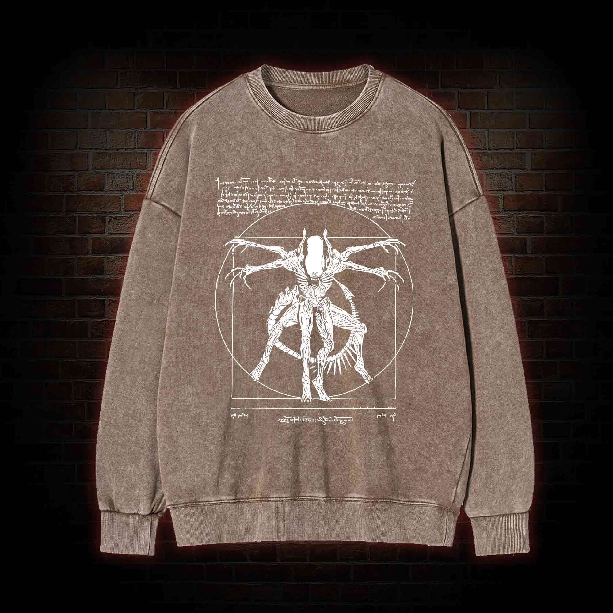Alien Washed Sweatshirt
