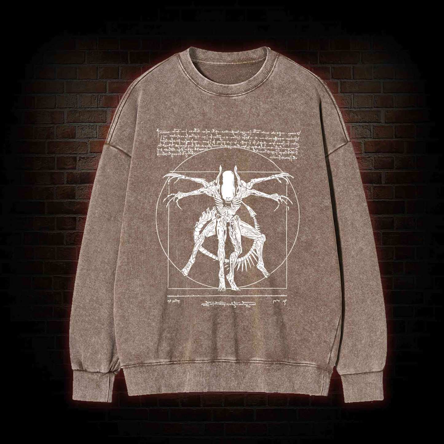 Alien Washed Sweatshirt