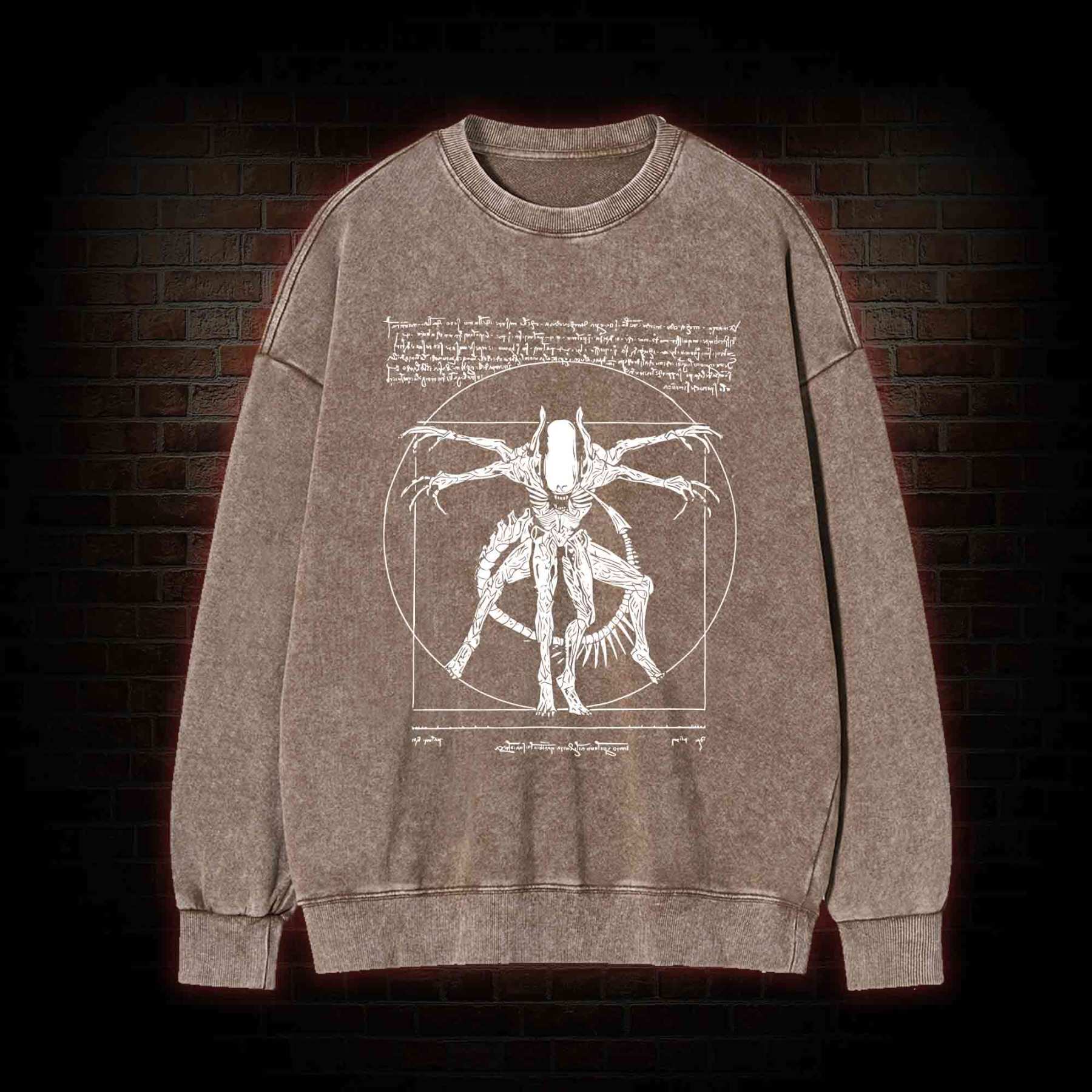 Alien Washed Sweatshirt