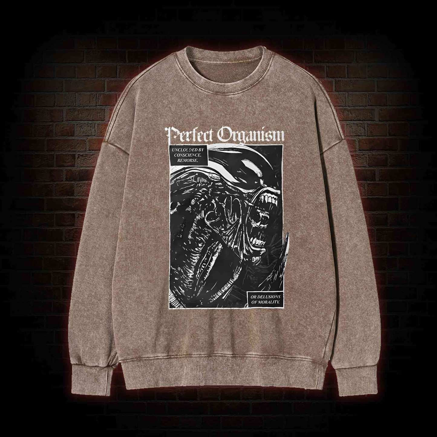Alien Perfect Organism Washed Sweatshirt